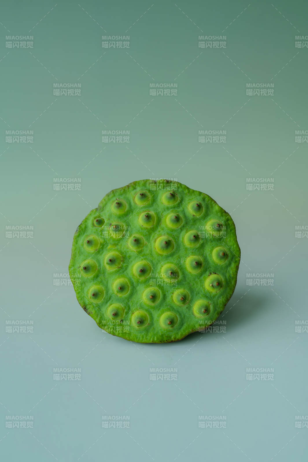 绿色莲蓬的特写镜头图片