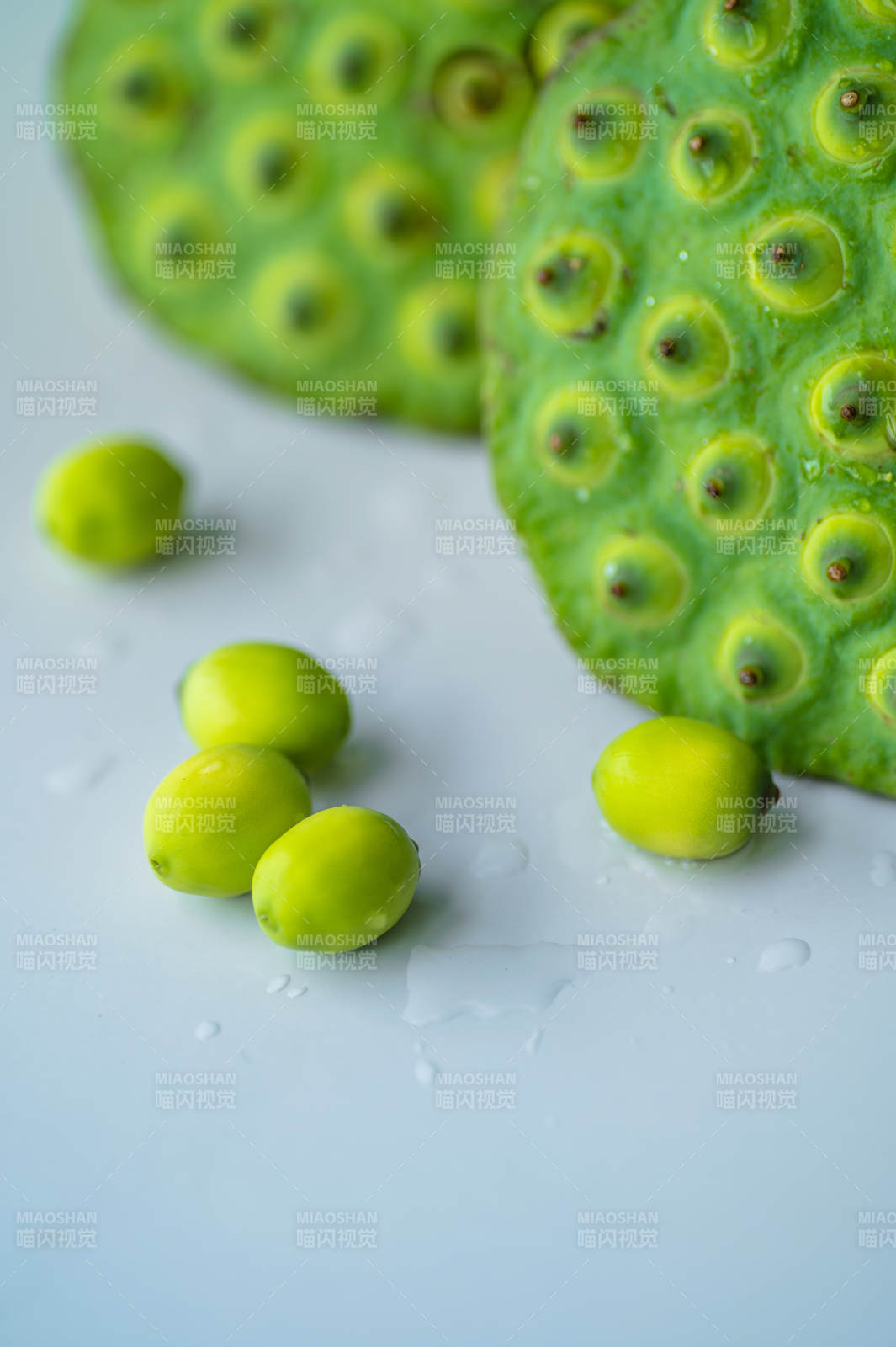 莲蓬与莲子的清新特写图片