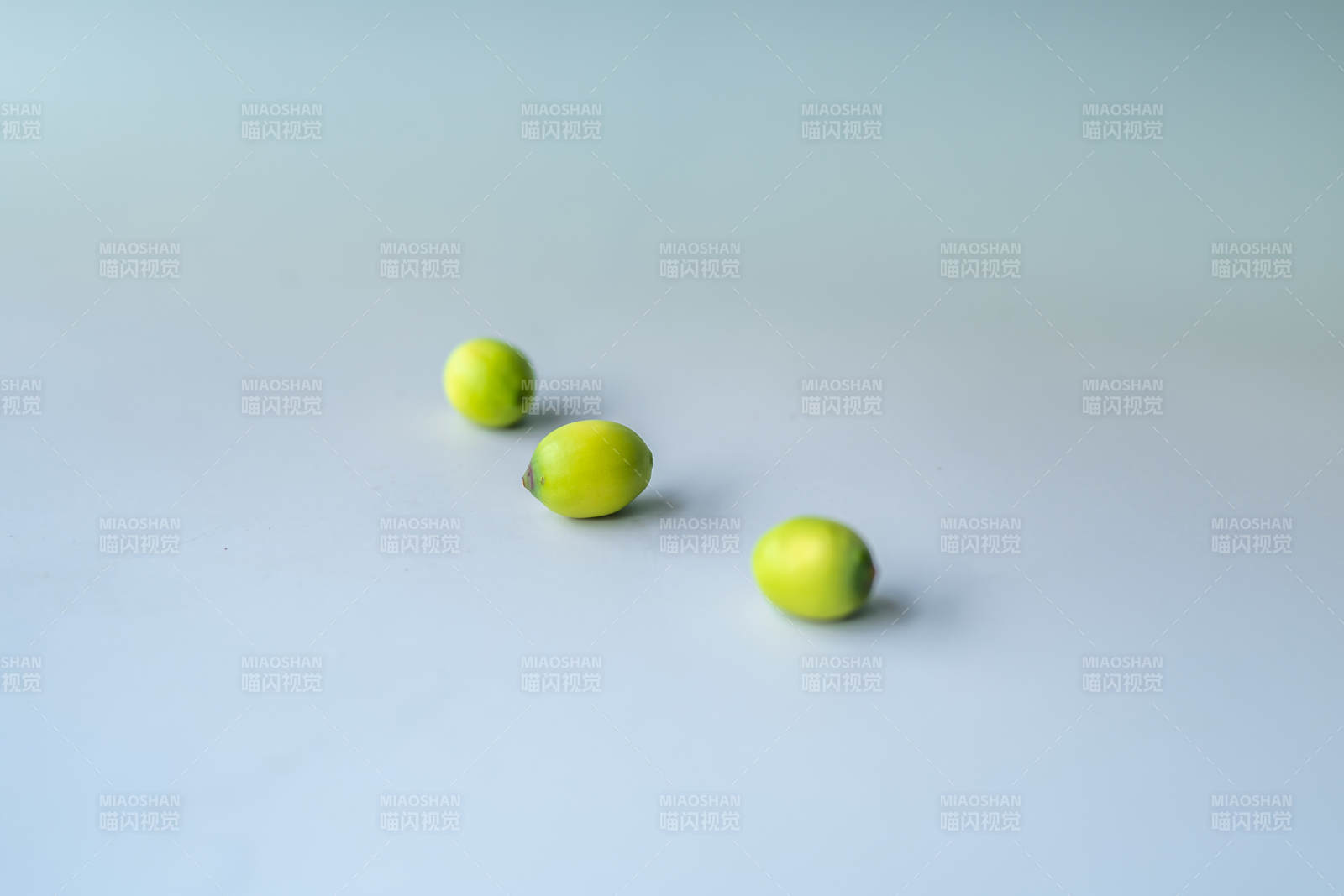 莲子的静谧时光图片