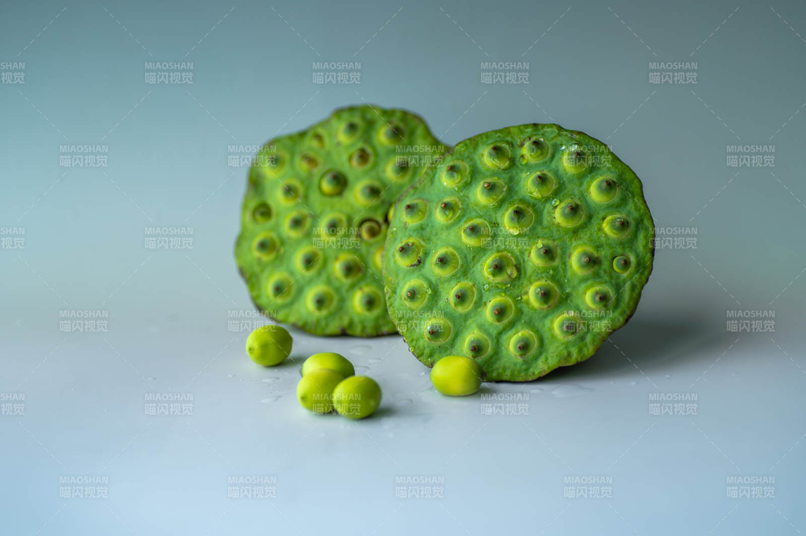 莲蓬与莲子的静谧之美图片