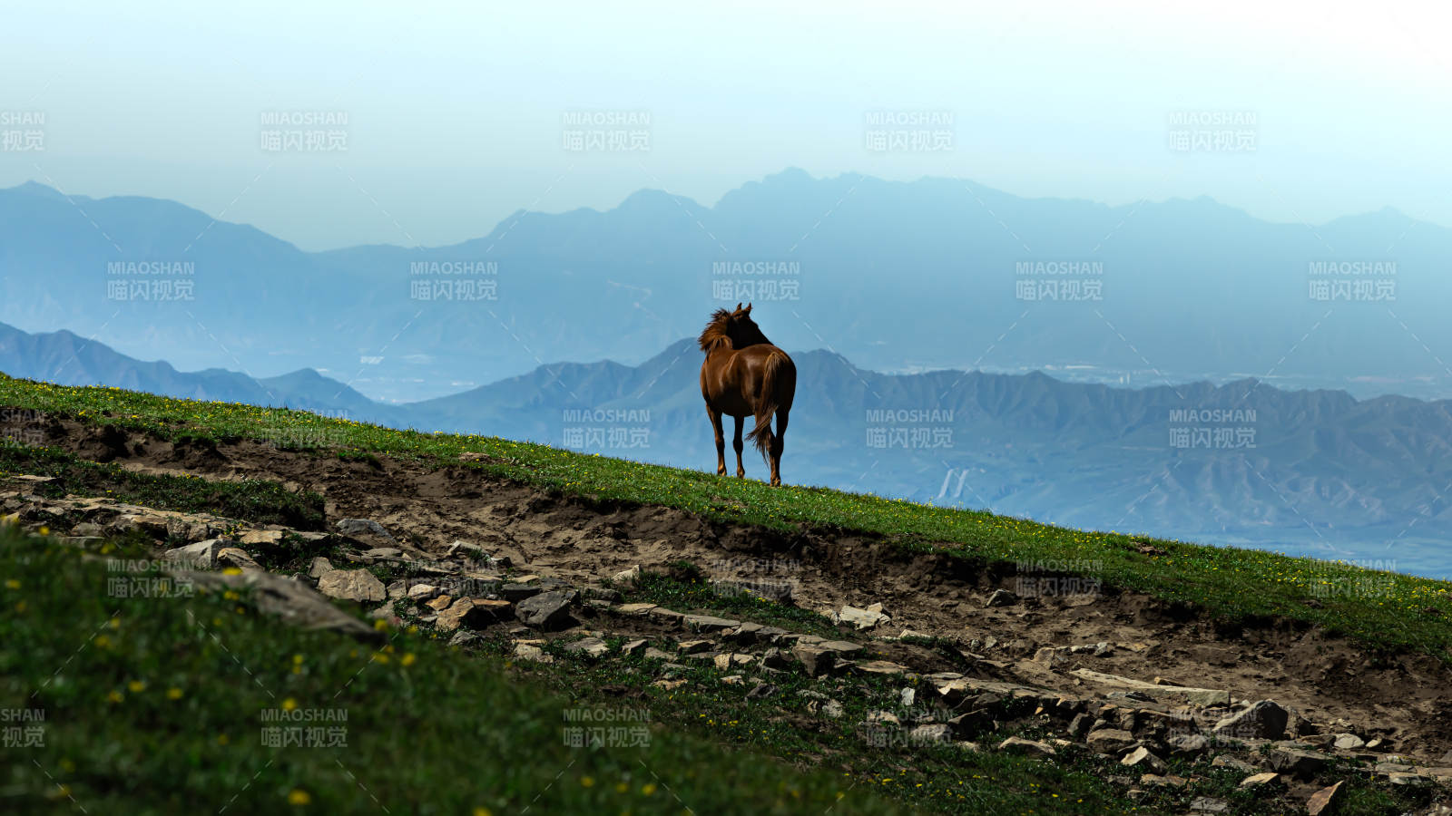 山巅孤马望远山 东灵山图片