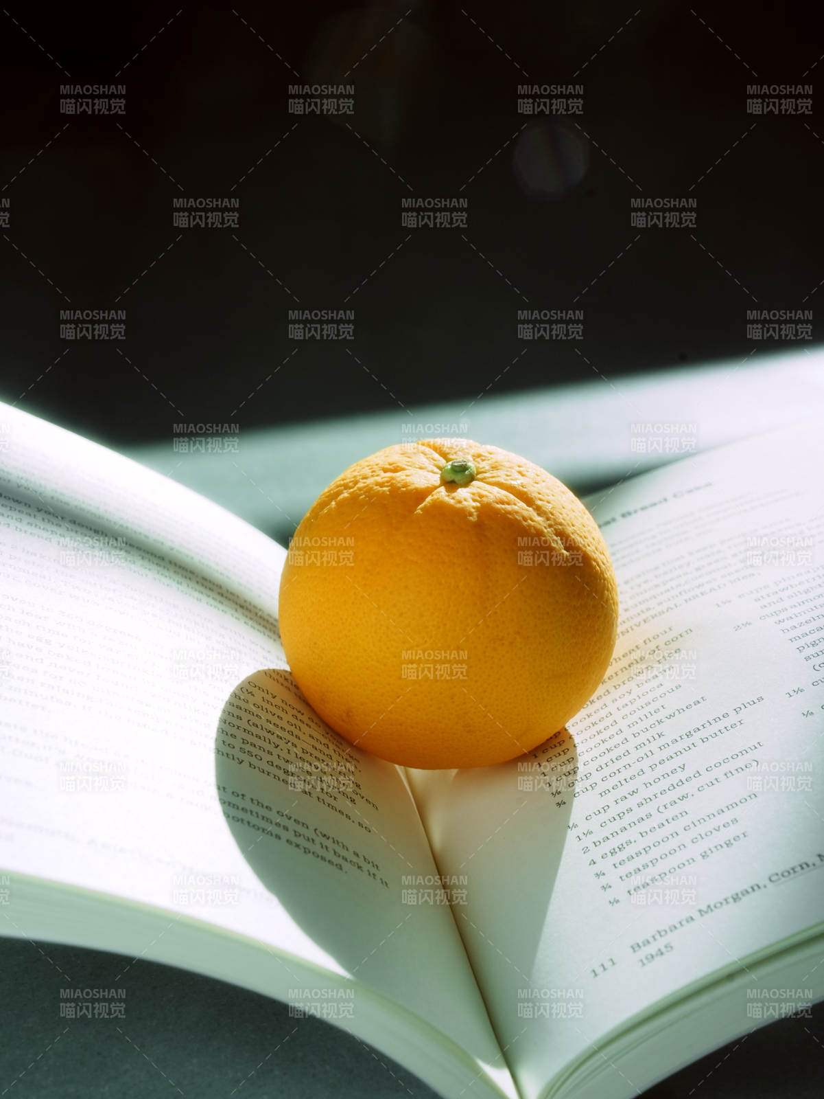 橙子与书页的静谧时光图片