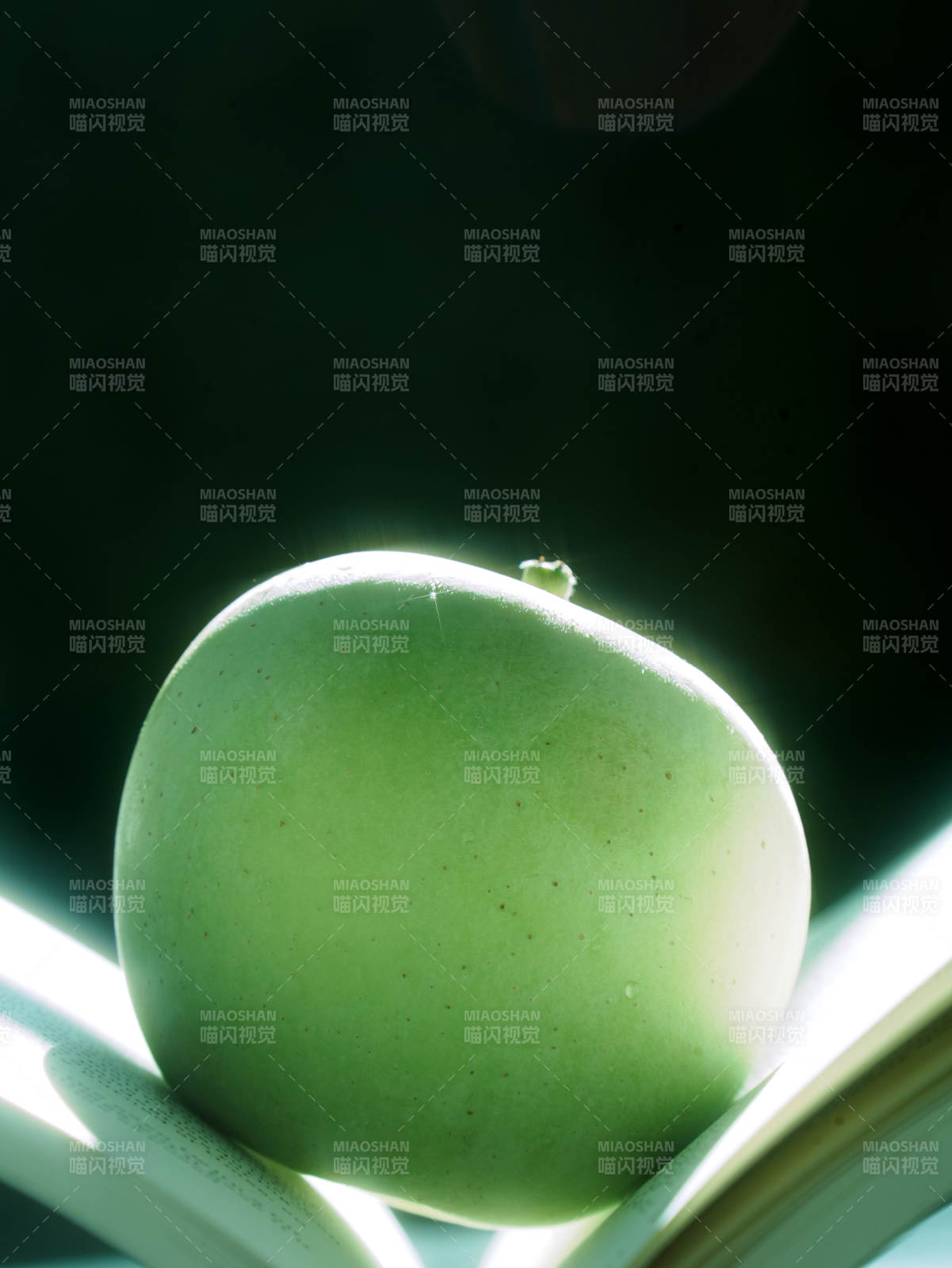 阳光下的青苹果图片