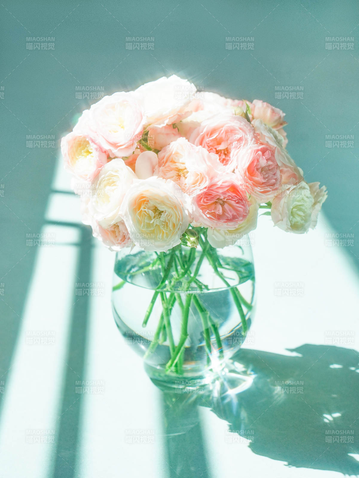 阳光下的花束静谧之美图片