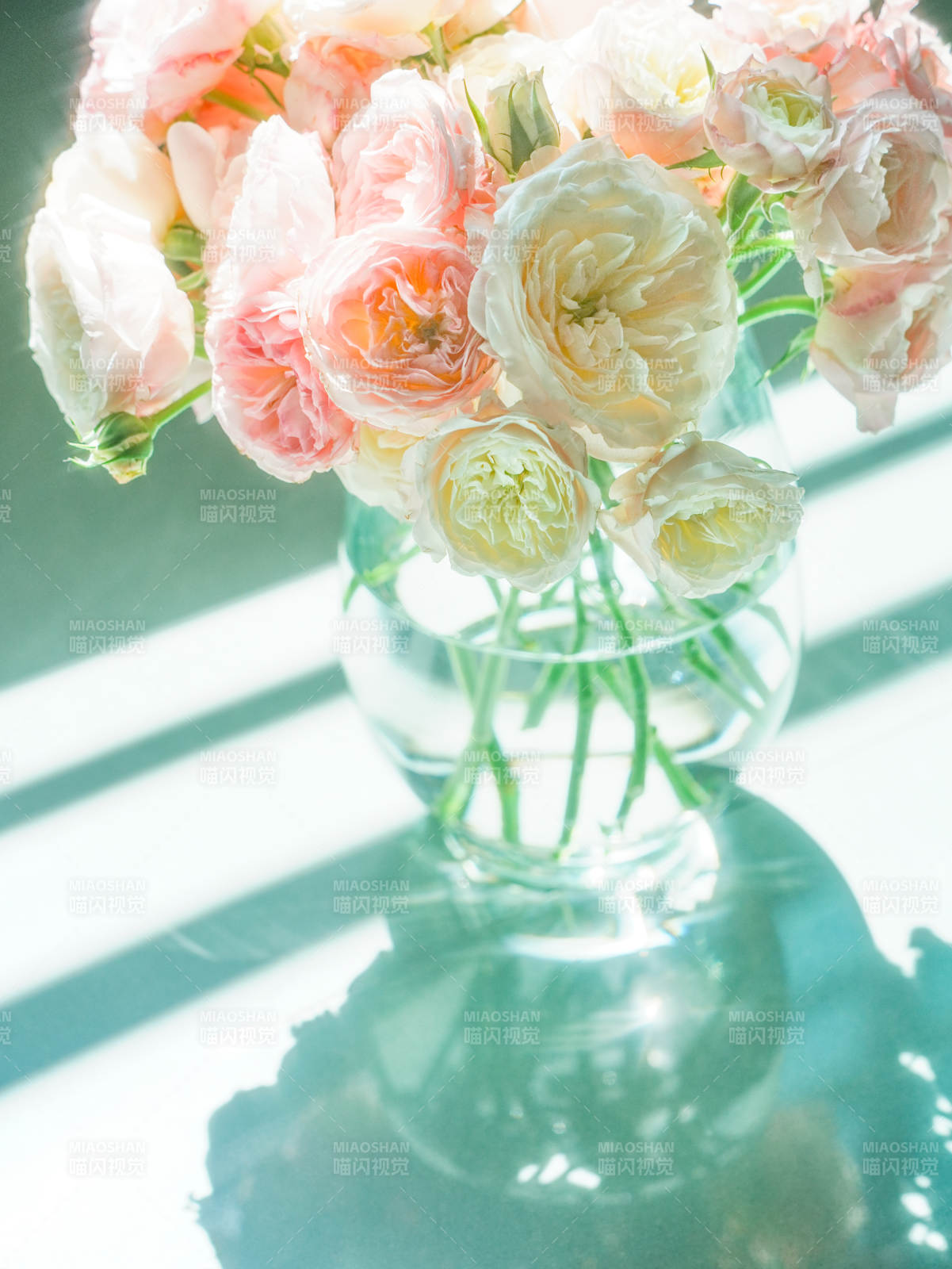 花影轻舞 静谧时光图片