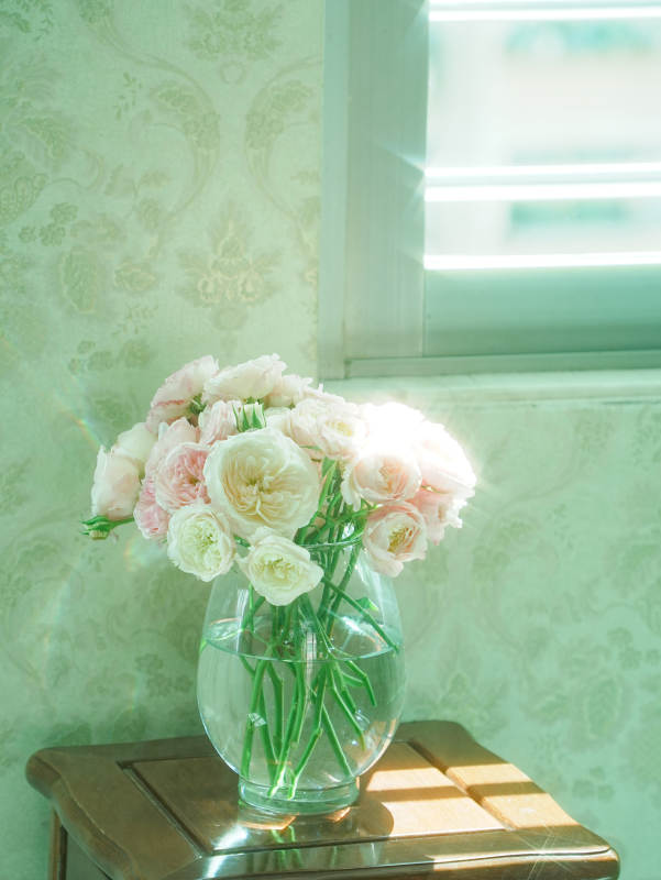 窗边花影 静谧时光图片