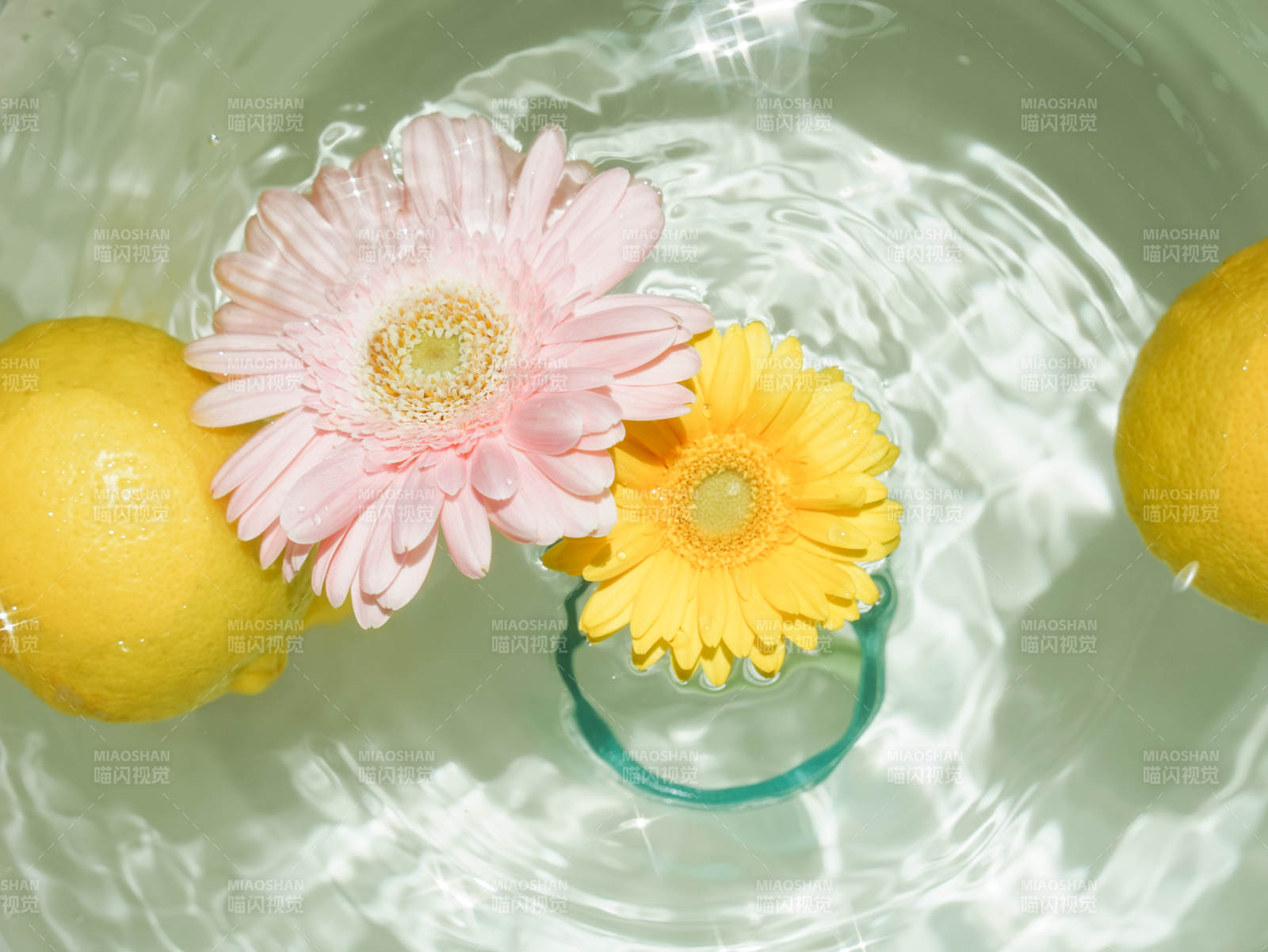 水中柠檬与花的静谧美图片