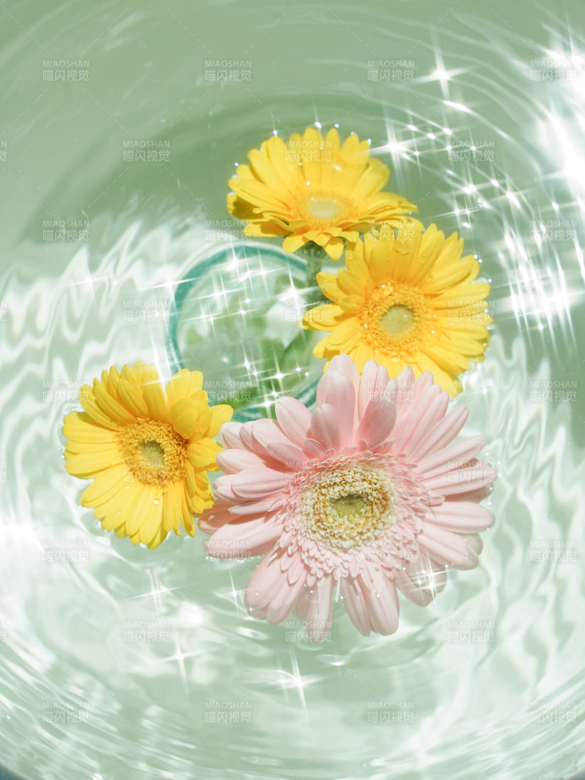 水中花影 清新绽放图片