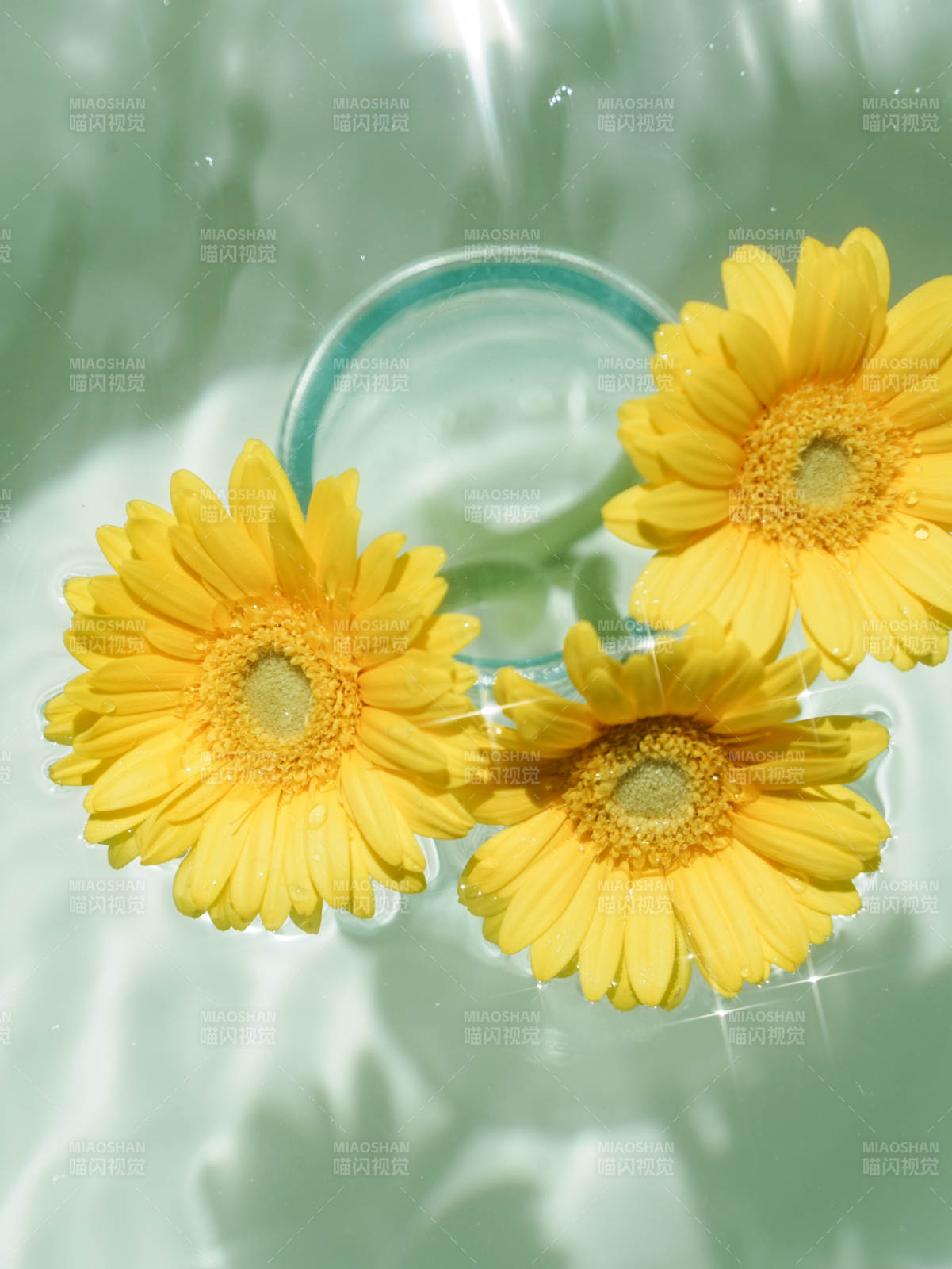 水中黄花 清新自然图片