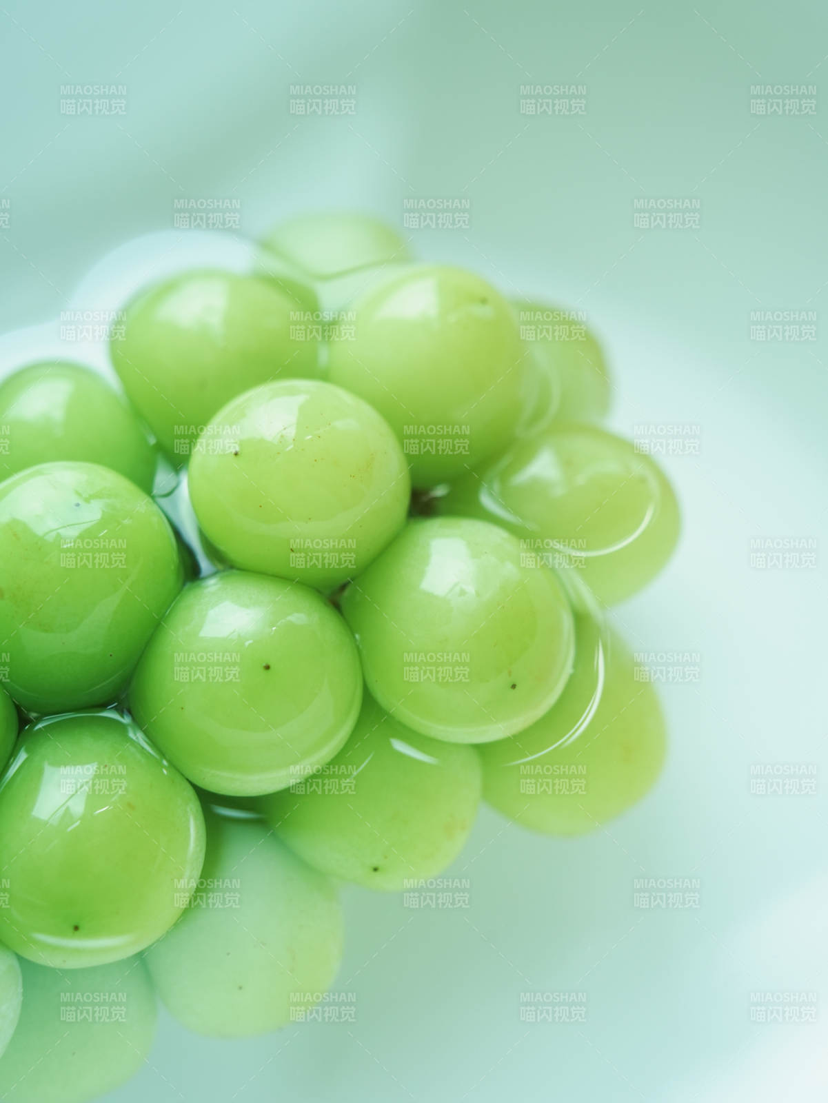 青葡萄的清新特写图片