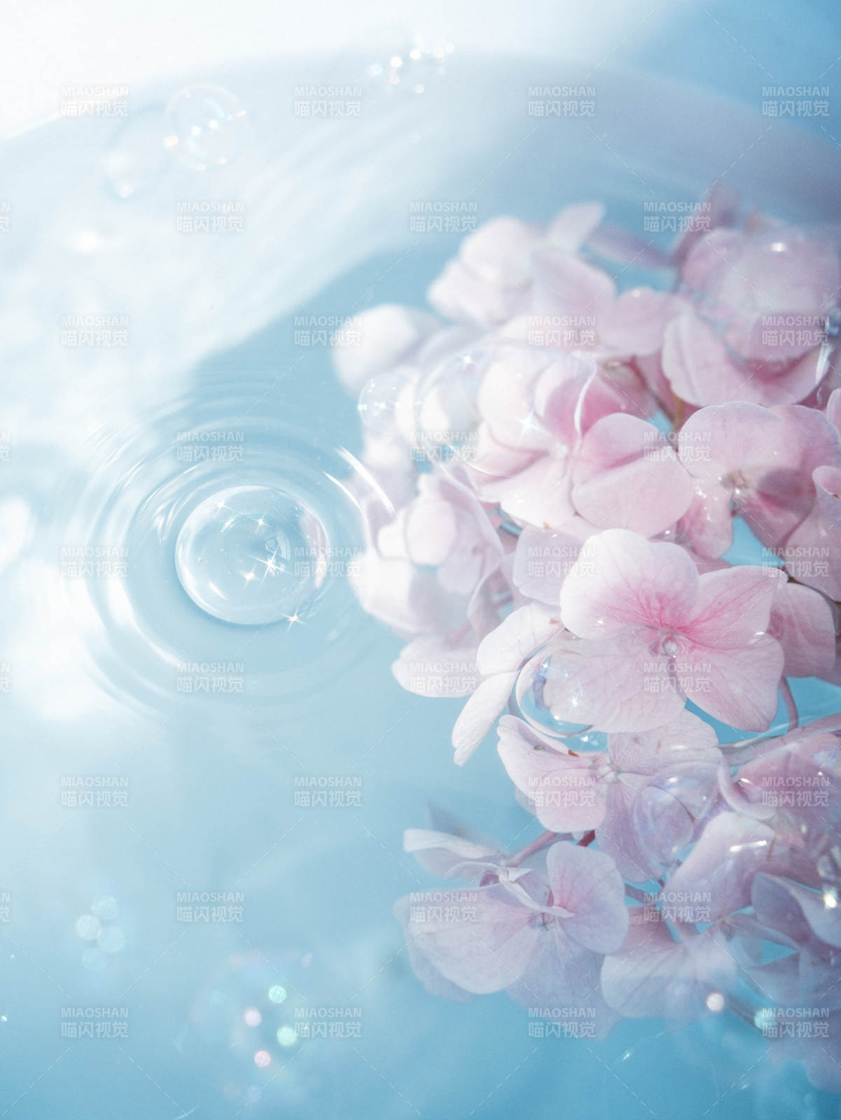 水中的粉色花瓣图片