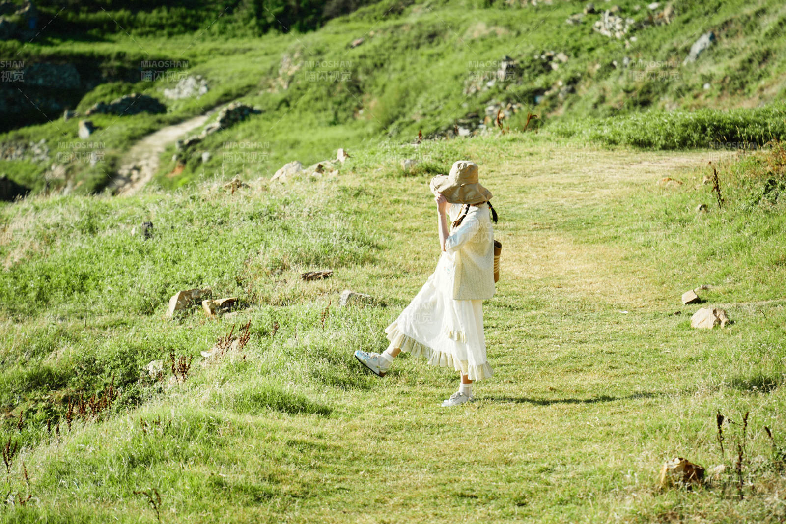 草原上的悠闲时光图片