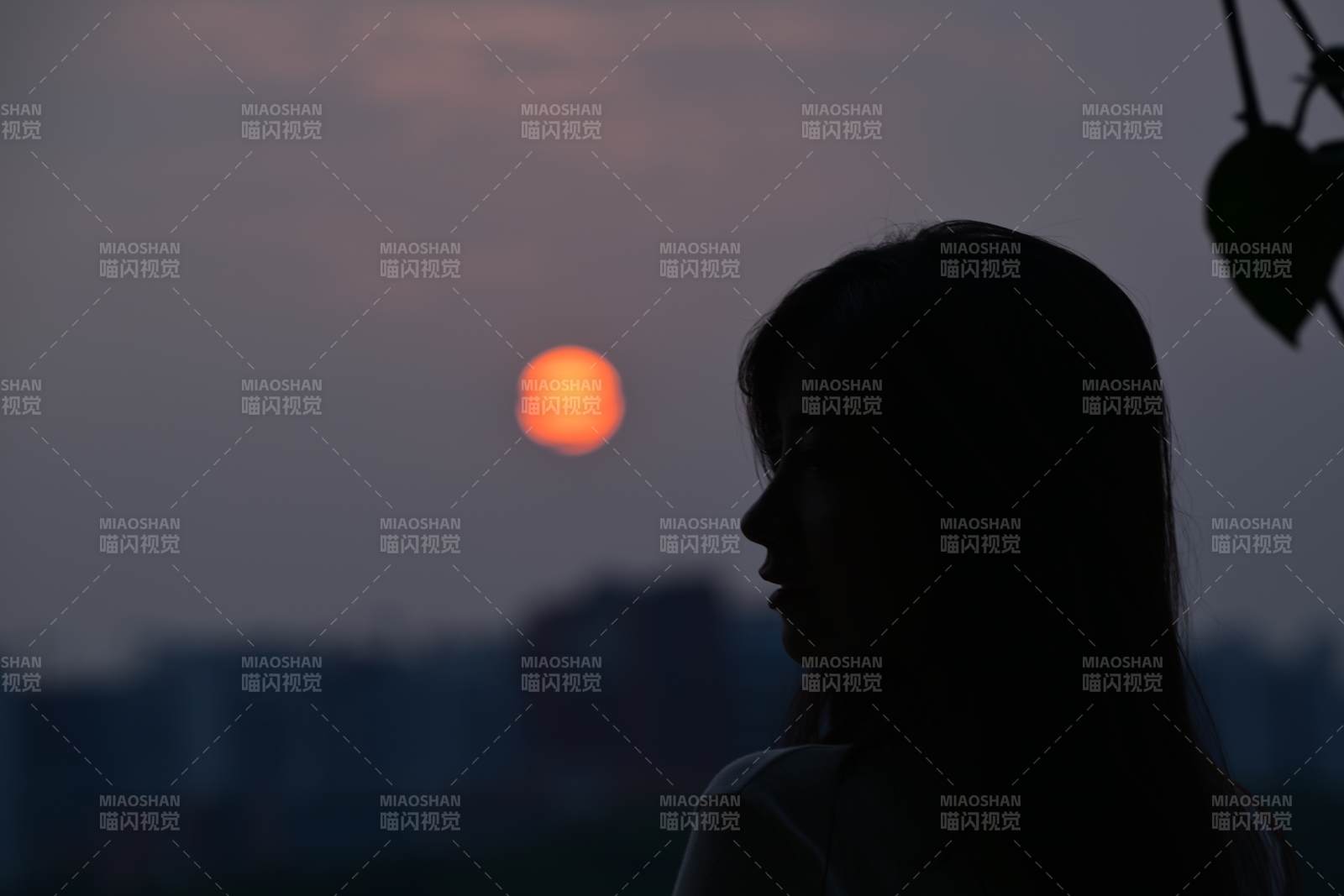 夕阳下的沉思图片