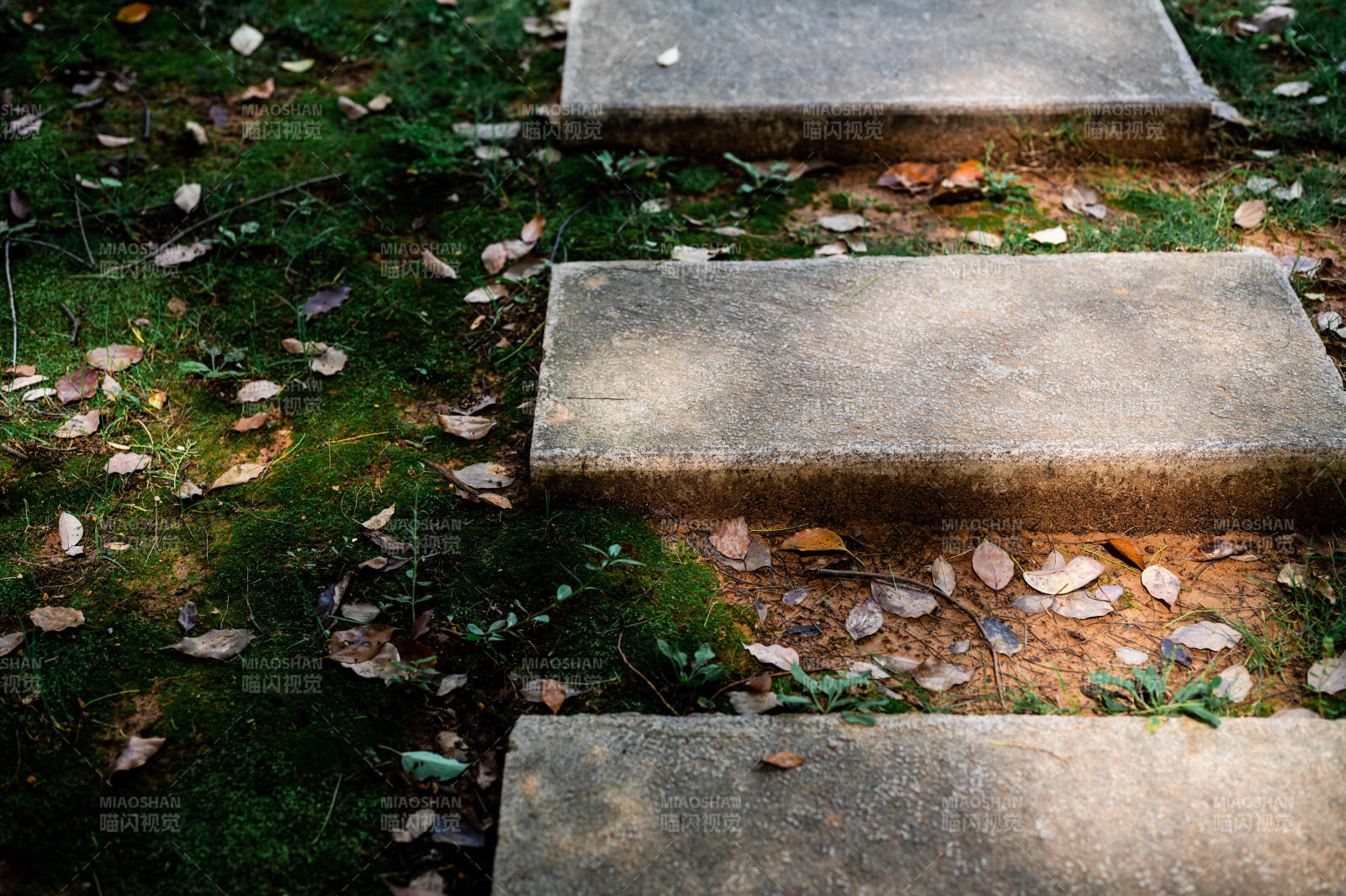 石阶落叶静谧小径图片