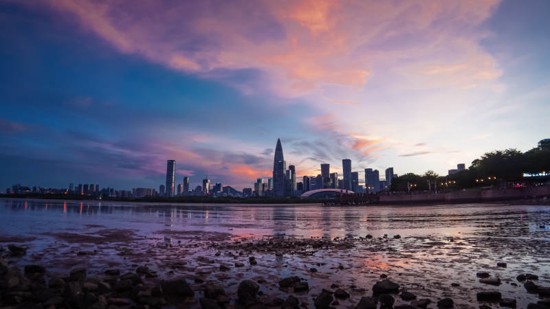 深圳湾人才公园图片