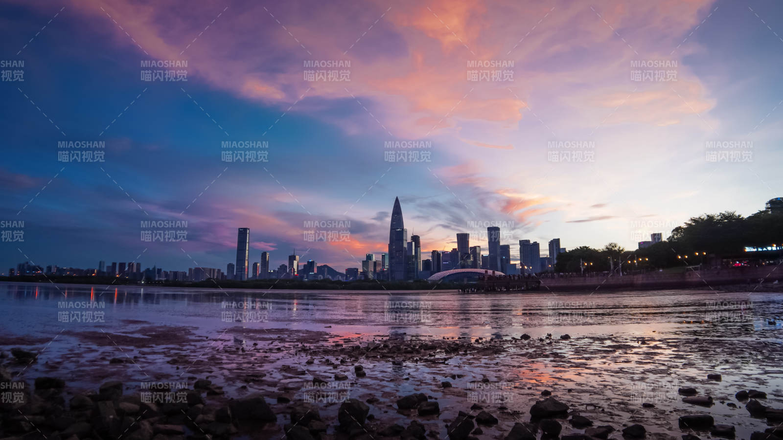 深圳湾人才公园图片