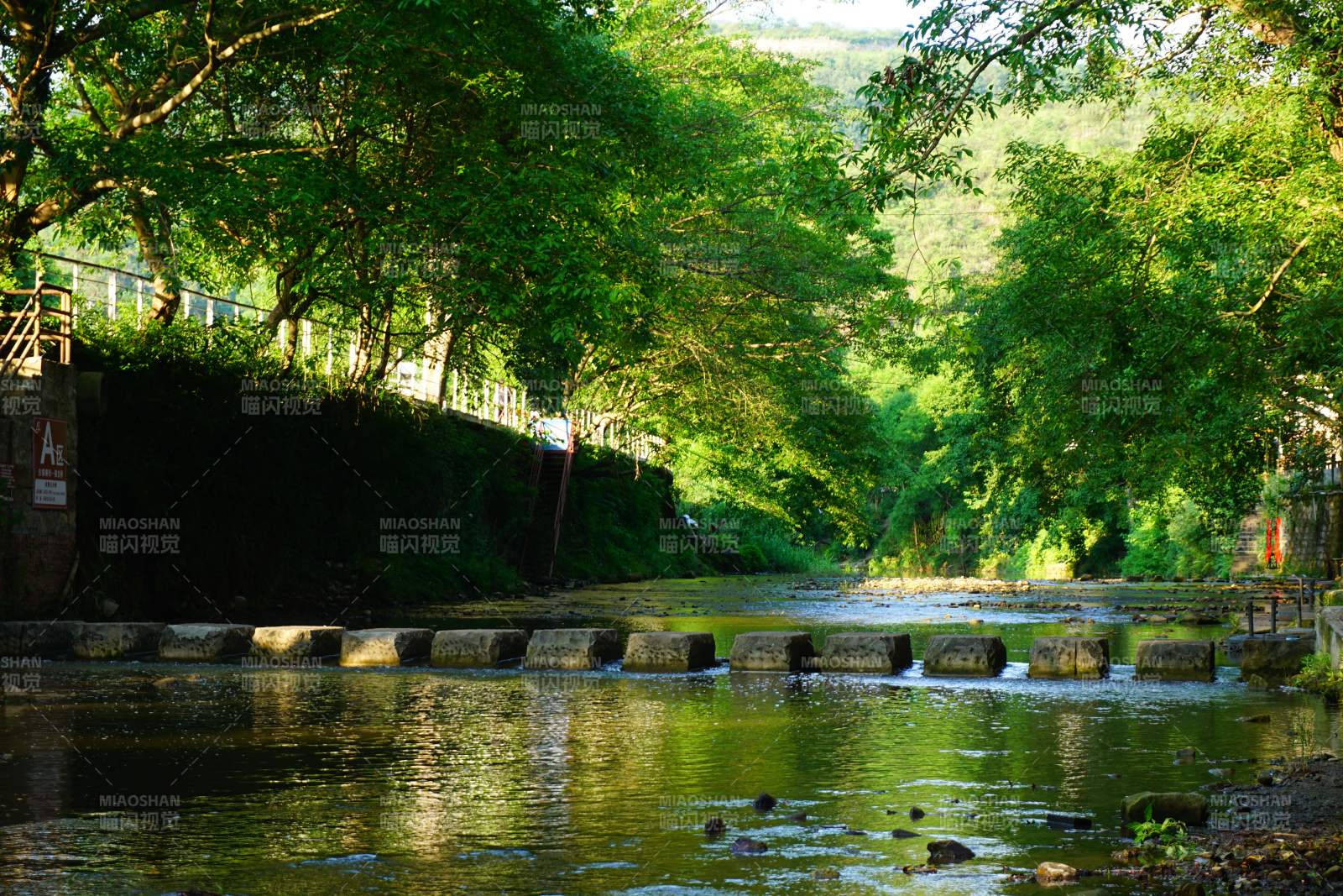 静谧河畔 绿树成荫 偏岩古镇图片