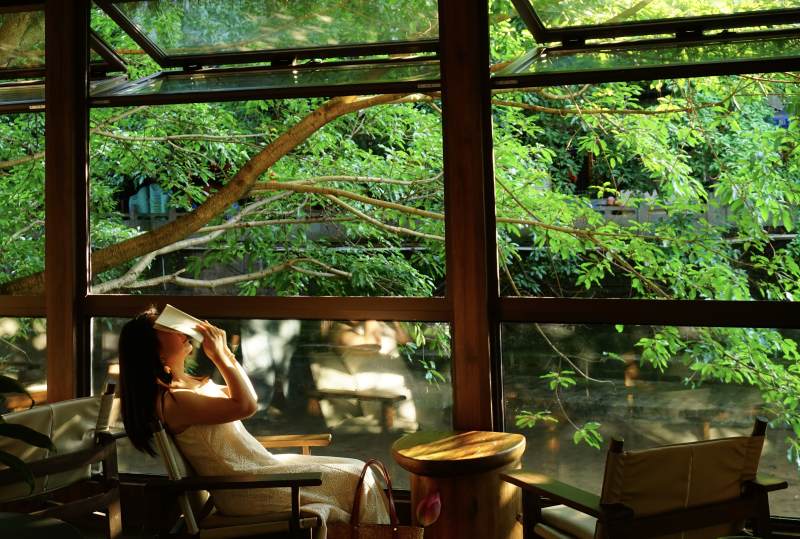 静谧时光 阅读自然中图片