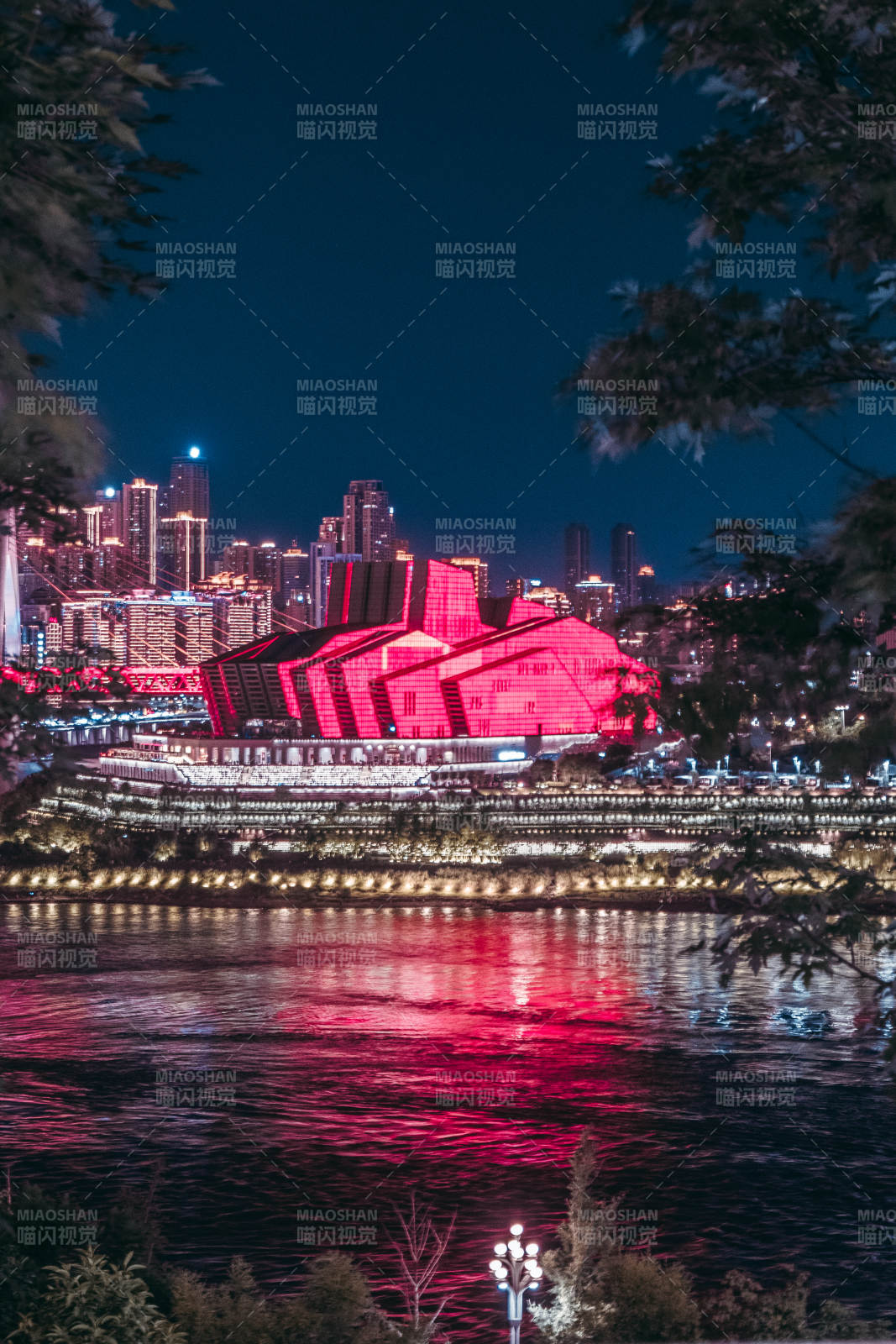 重庆大剧院夜景图片