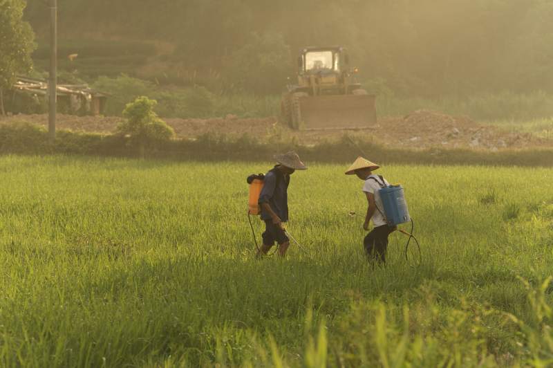 农民喷药 拖拉机作业中图片