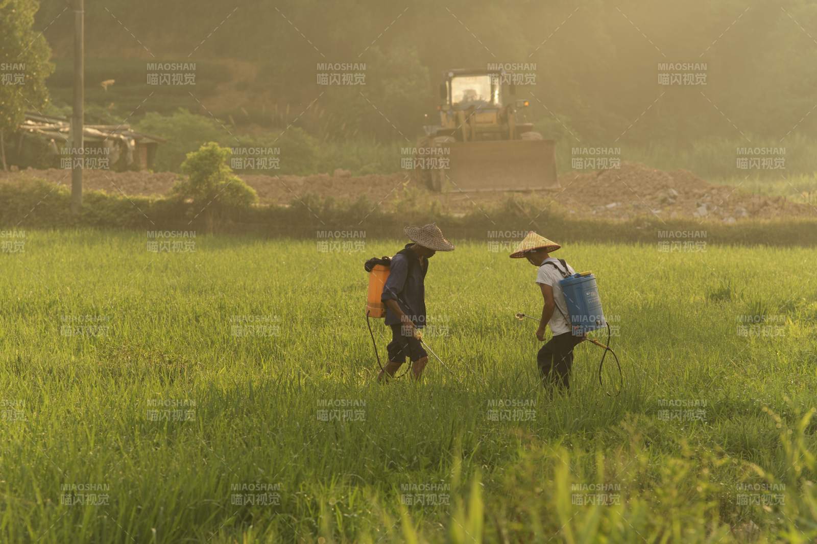 农民喷药 拖拉机作业中图片