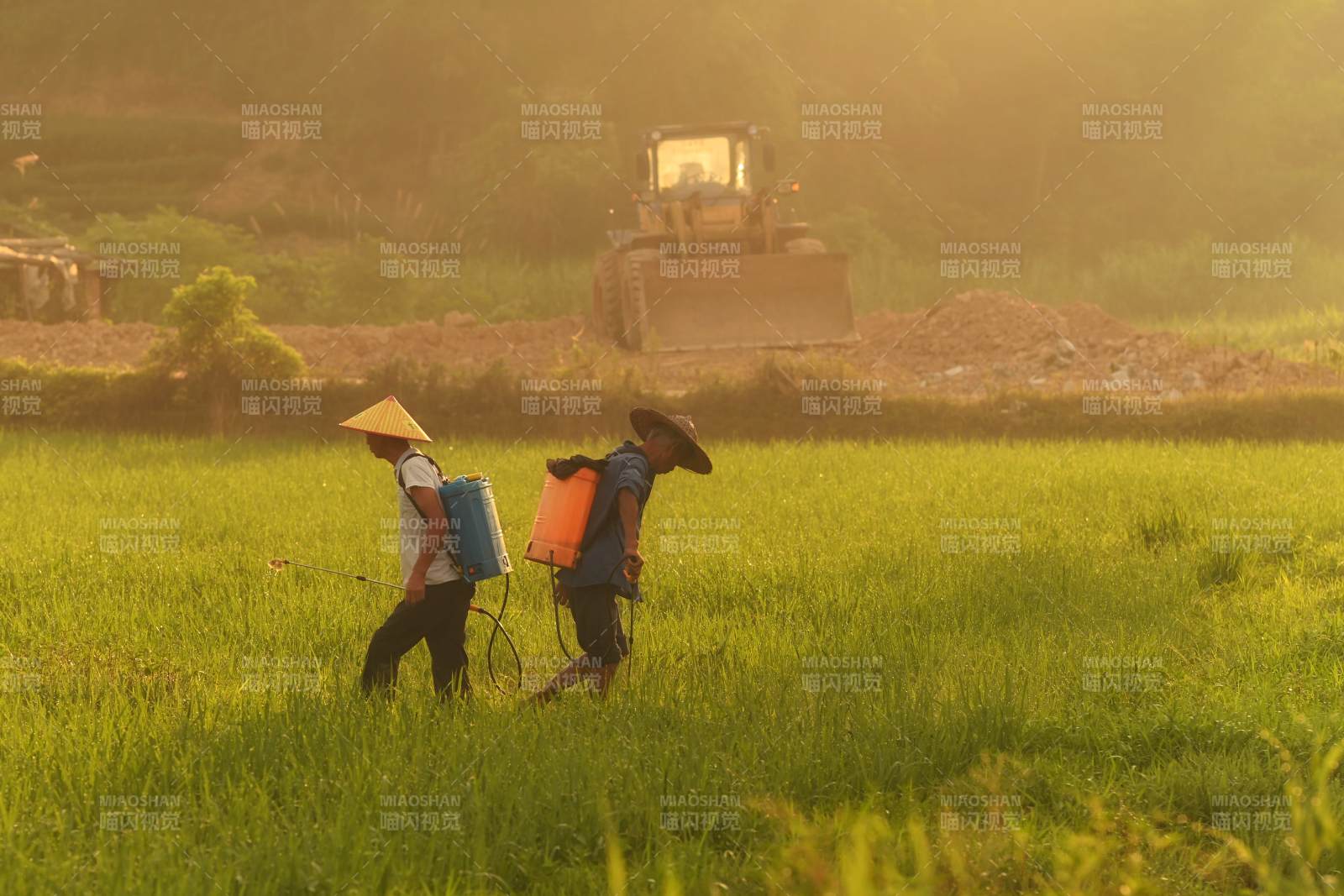 农民在田间劳作图片