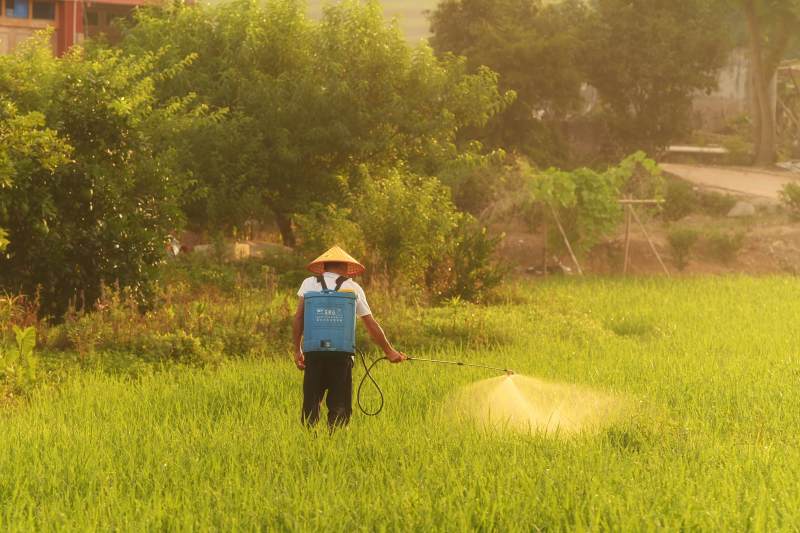 农民在田间喷洒农药图片