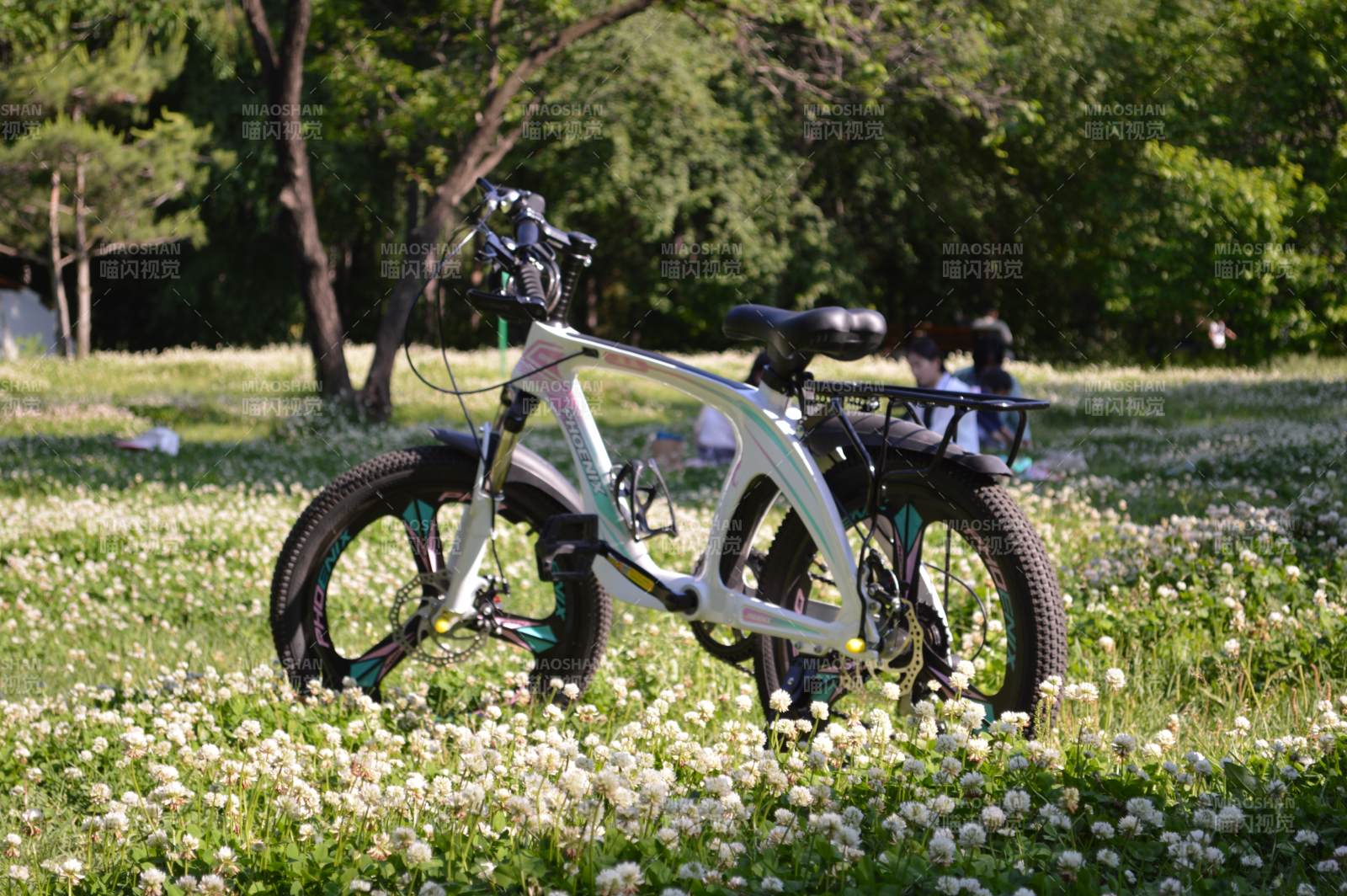 花海中的自行车图片