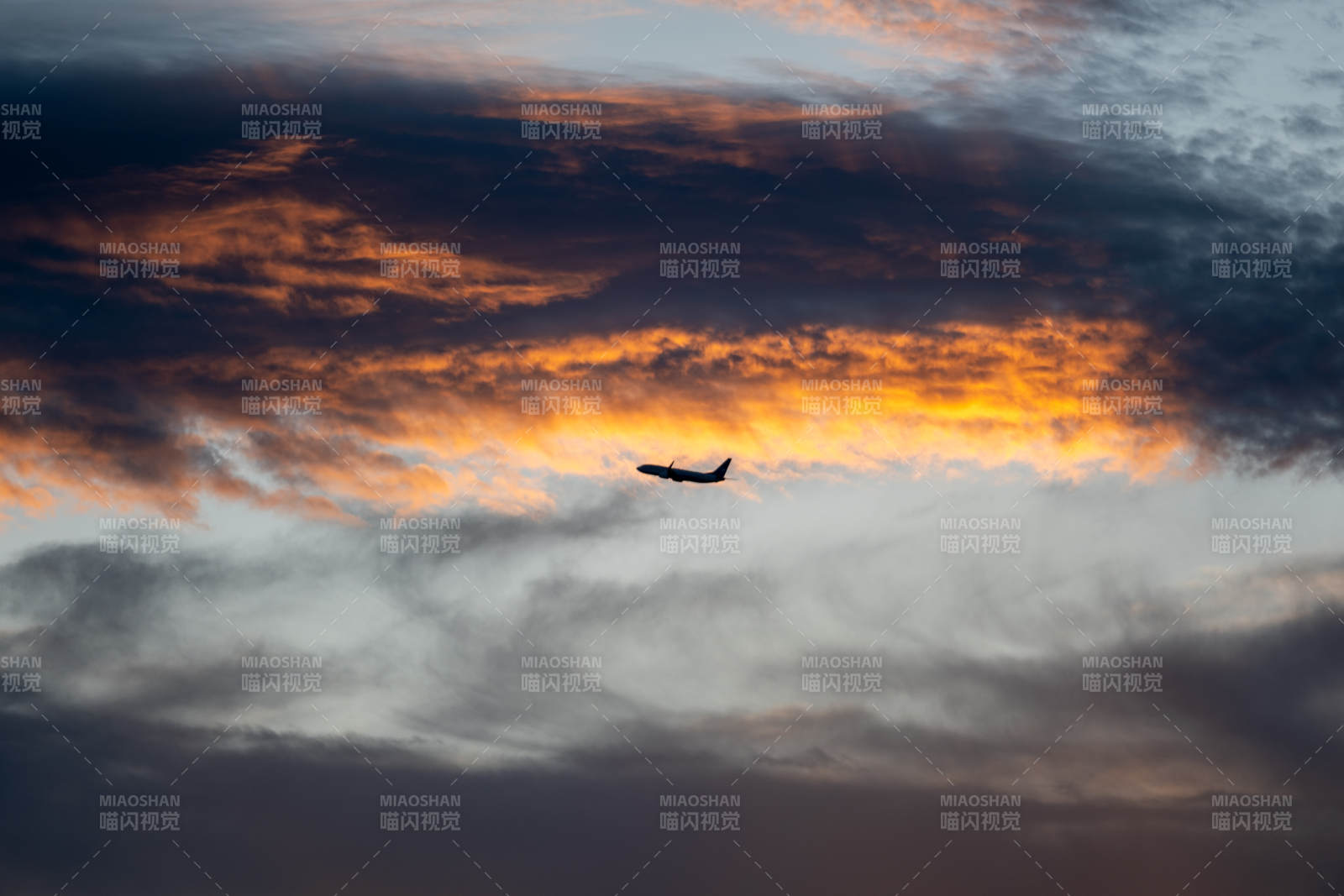 夕阳下的飞行剪影图片