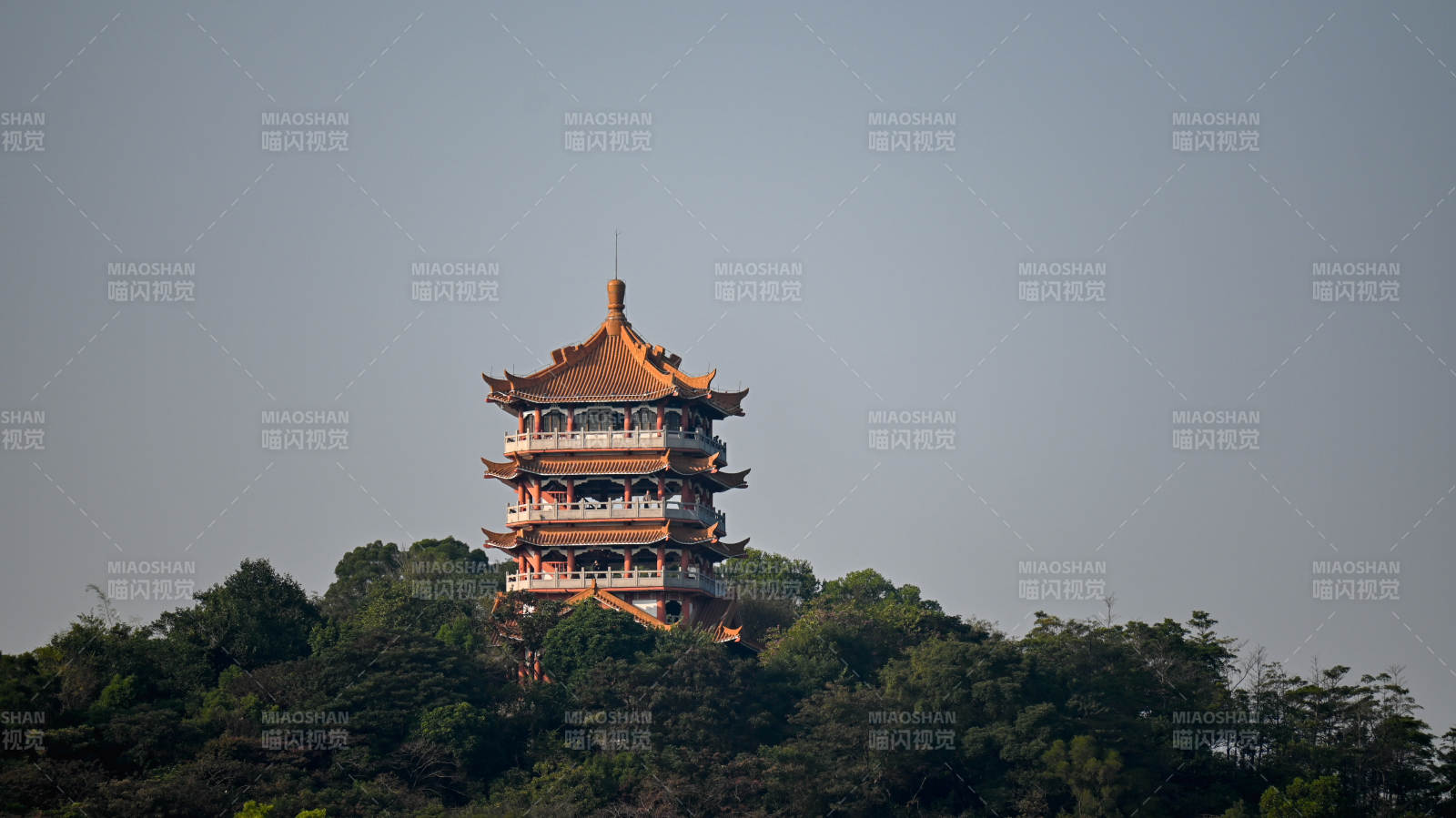 山顶古塔映翠林  鸿鹄楼图片