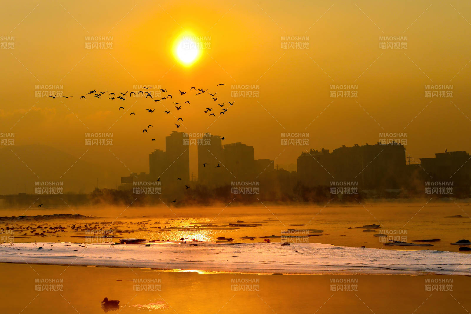 日落海滩 飞鸟归巢图片