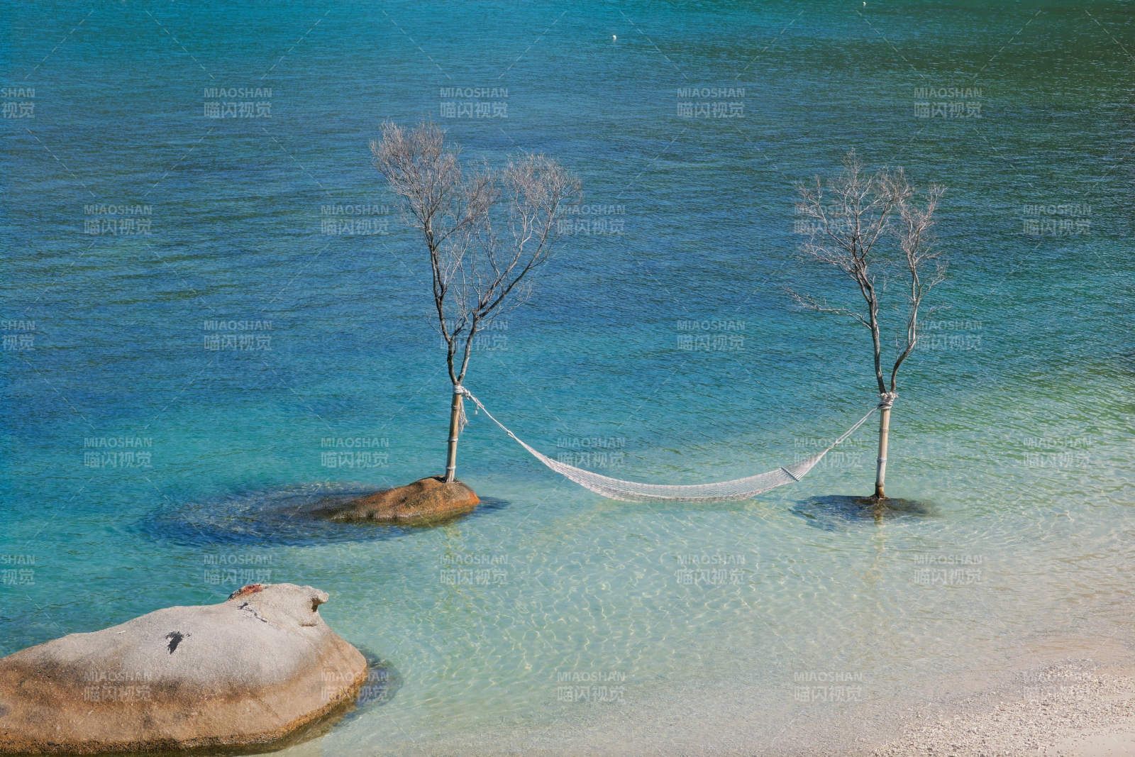 海中树与吊床的宁静时光图片