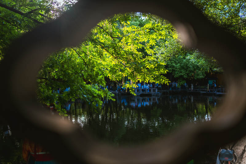 西园寺庭院绿意景色图片