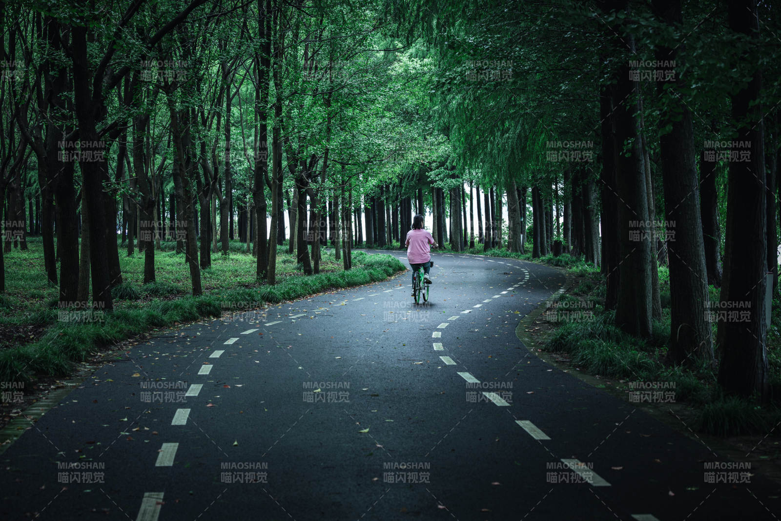 林间小径单车行图片