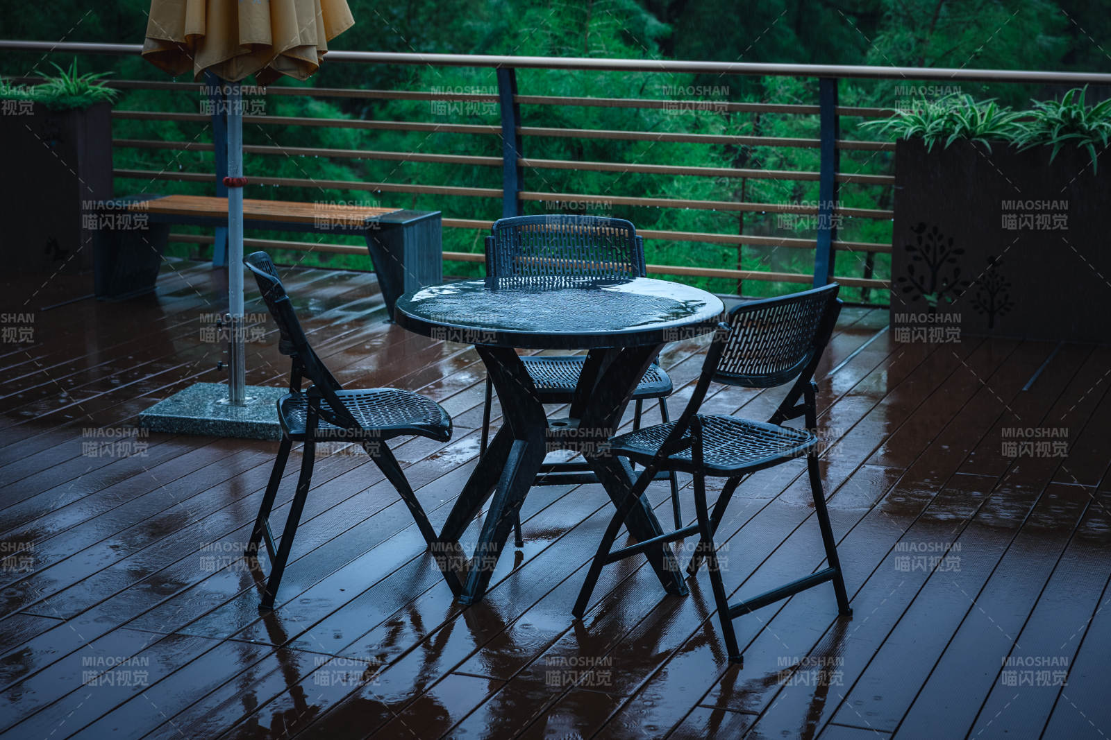 雨中庭院 静谧时光图片