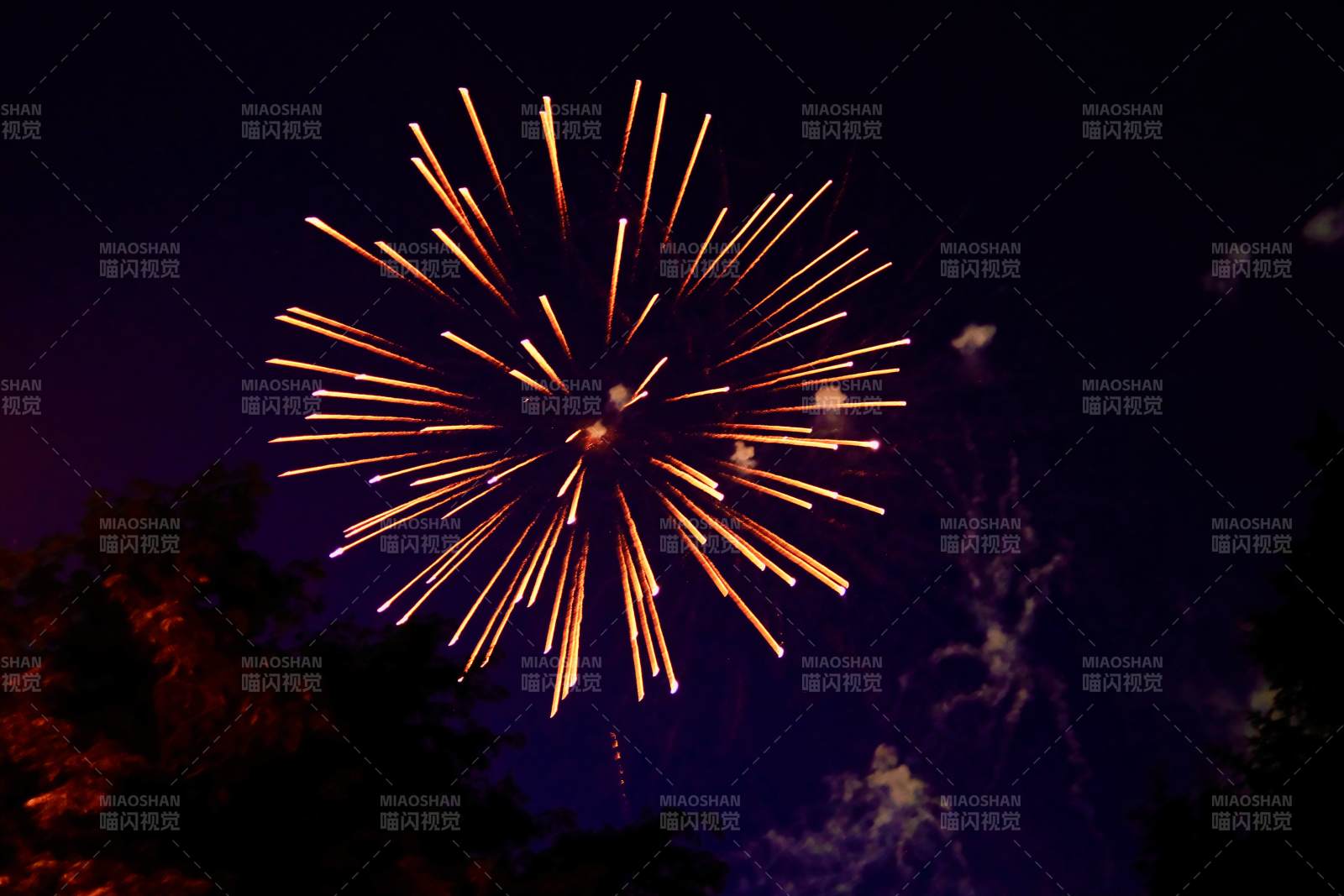 夜空中的烟花绽放图片