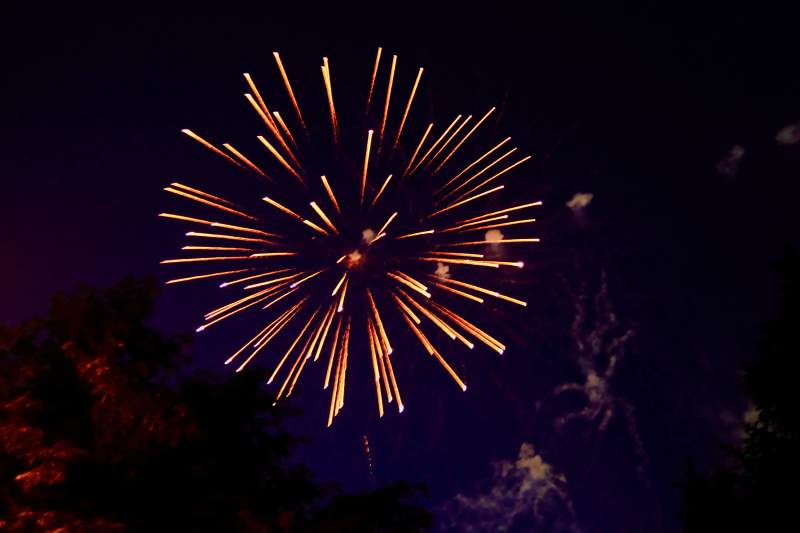 夜空中的烟花绽放图片