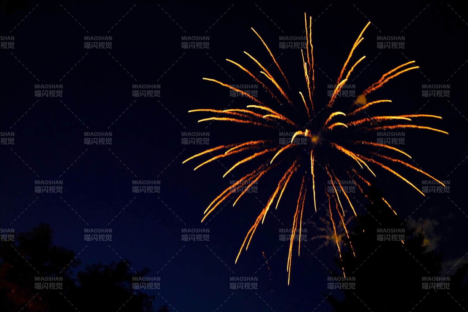 夜空中的烟花绽放图片