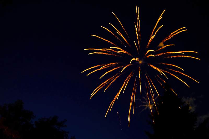 夜空中的烟花绽放图片