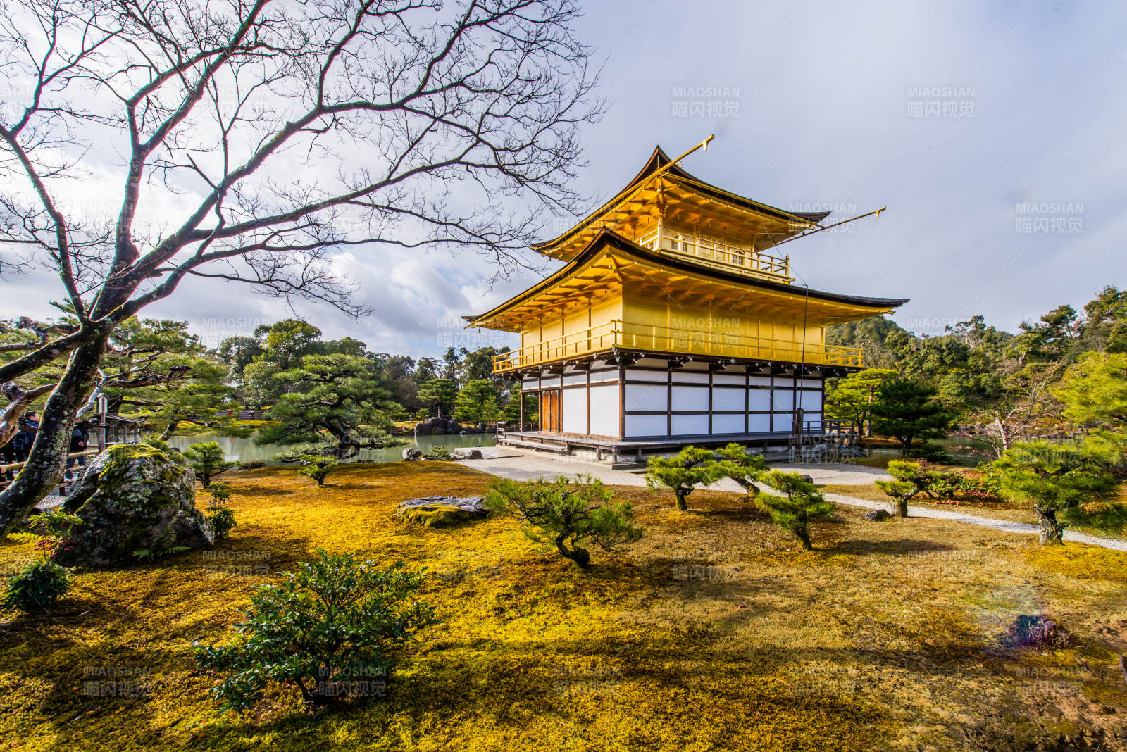 金阁寺的金色光辉图片