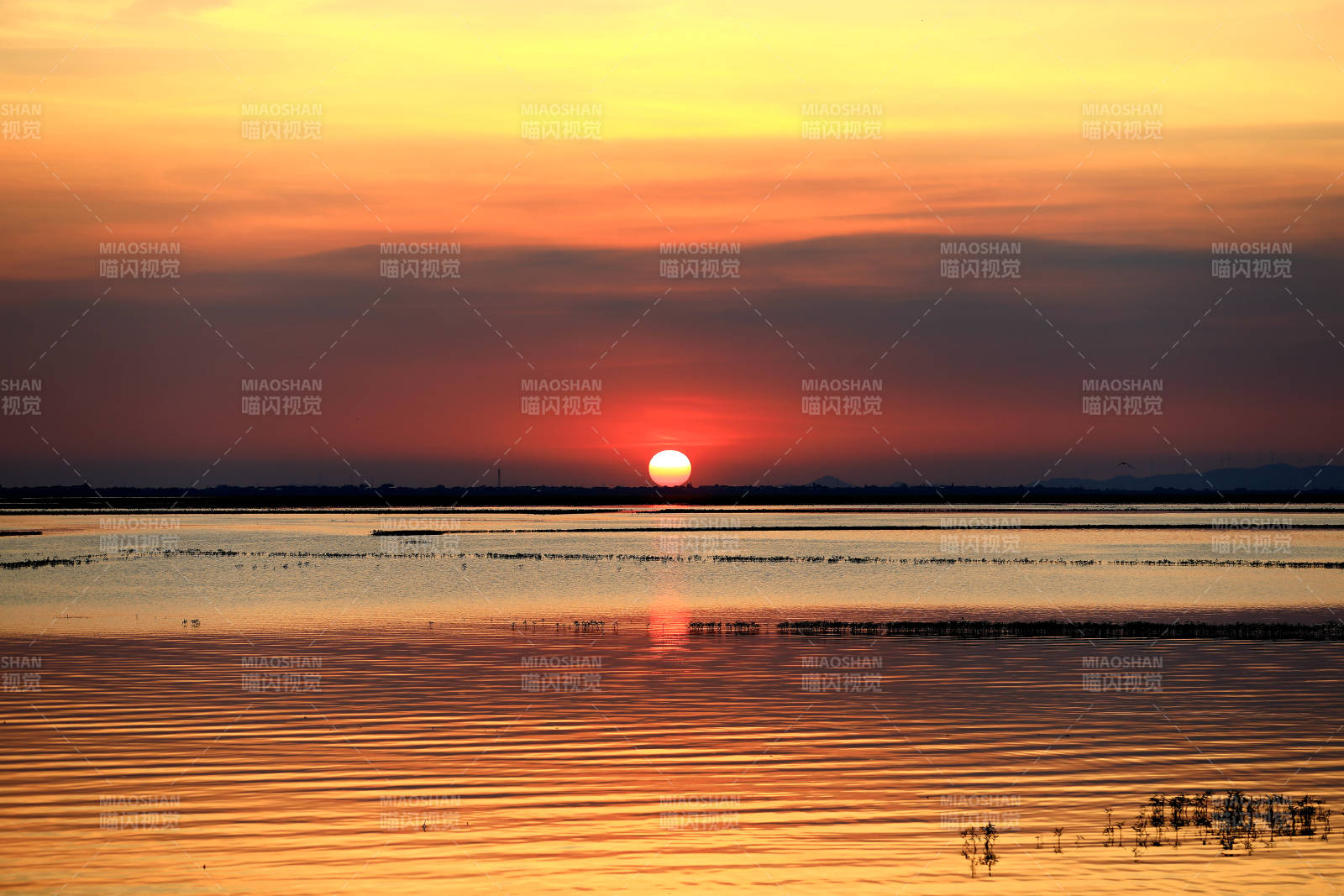 夏天的水上日落图片
