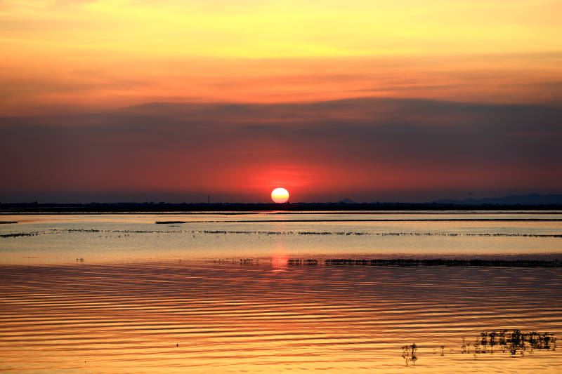 夏天的水上日落图片