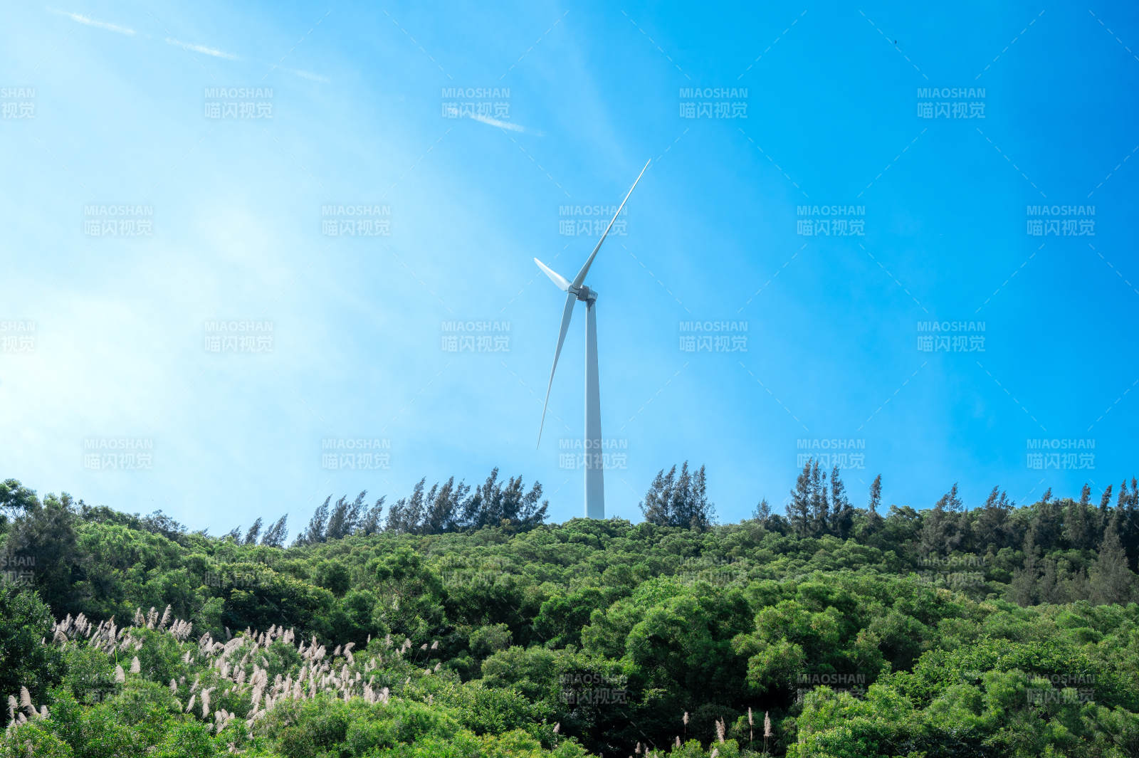 风车矗立绿林间图片