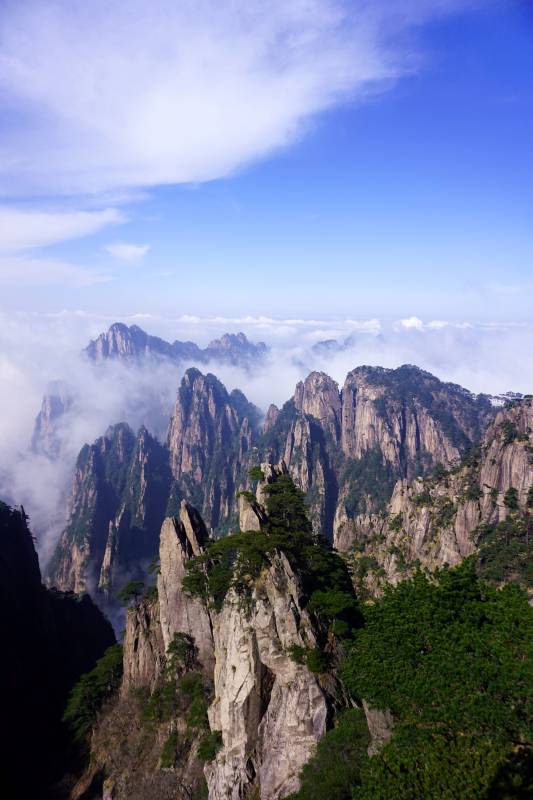 安徽黄山云海奇峰松影图片