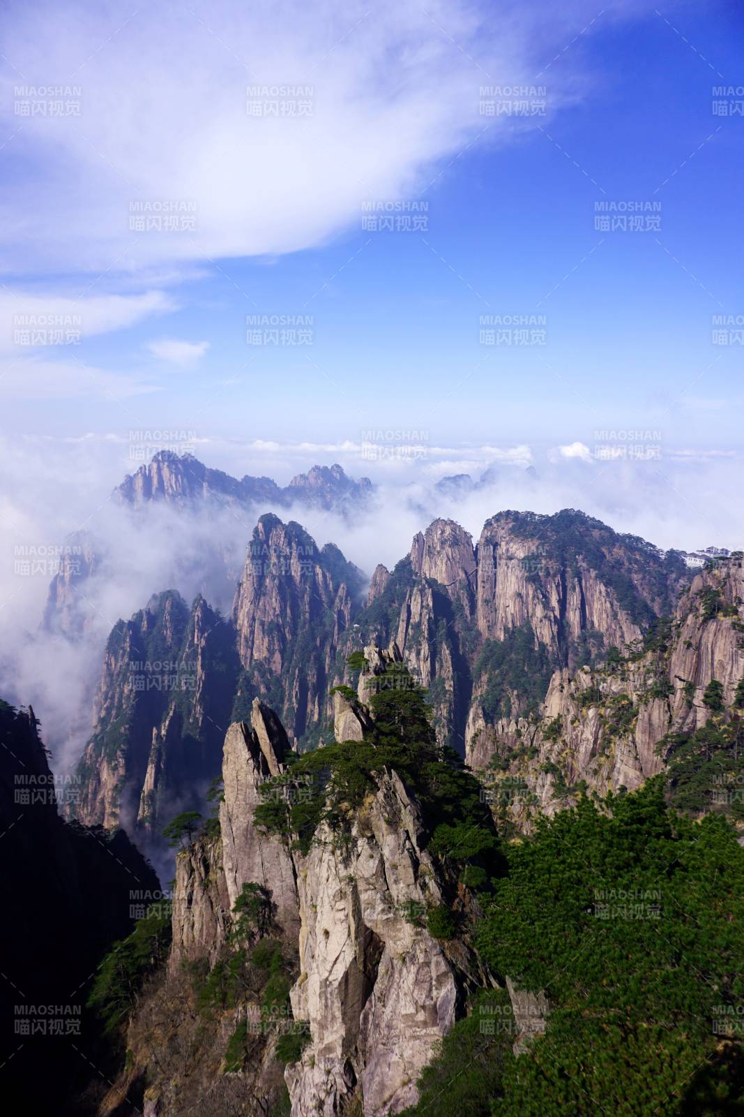 安徽黄山云海奇峰松影图片