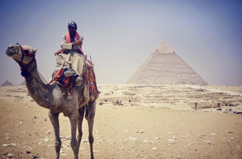 金字塔前的骆驼与骑手图片