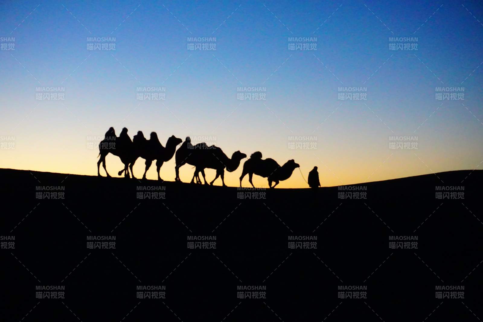 沙漠驼队剪影夕阳下图片