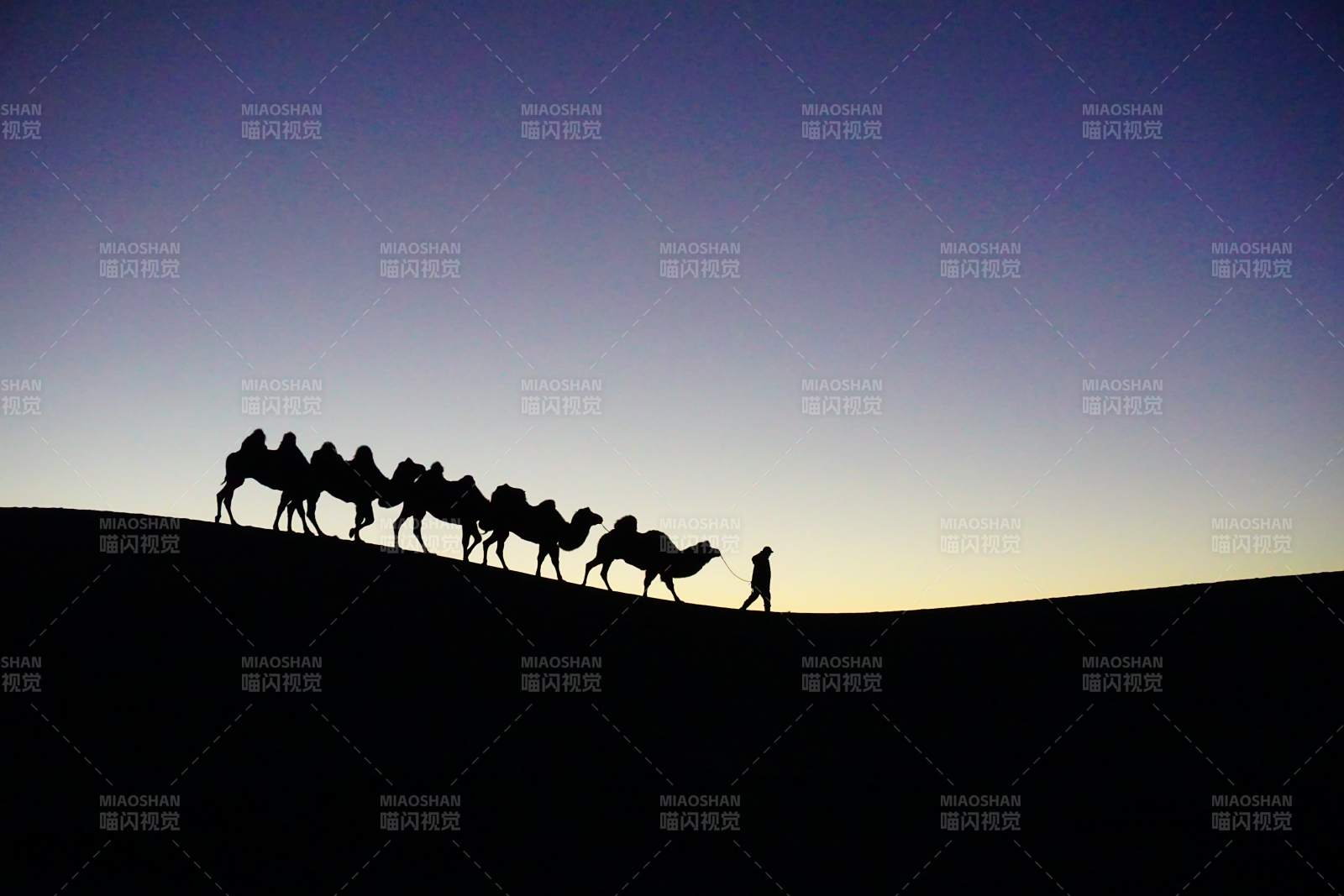 沙漠驼队剪影图片