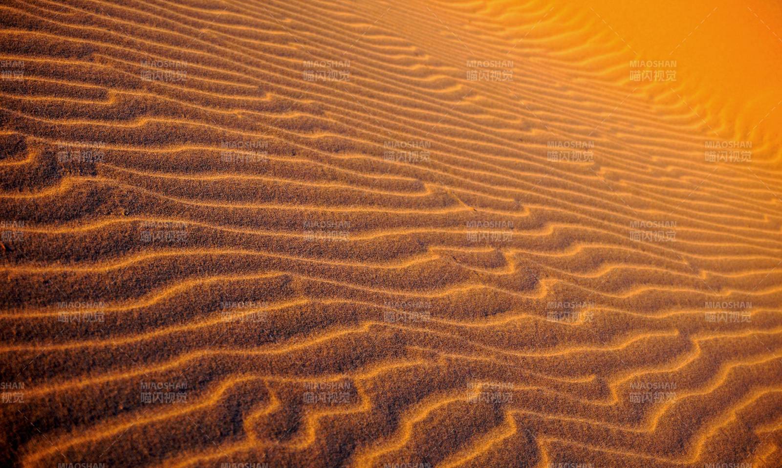 沙漠沙丘纹理特写图片