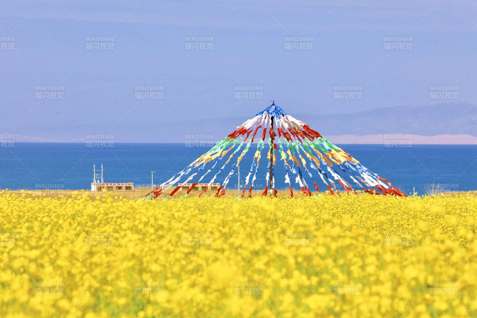 青海湖油菜花海与彩色经幡图片
